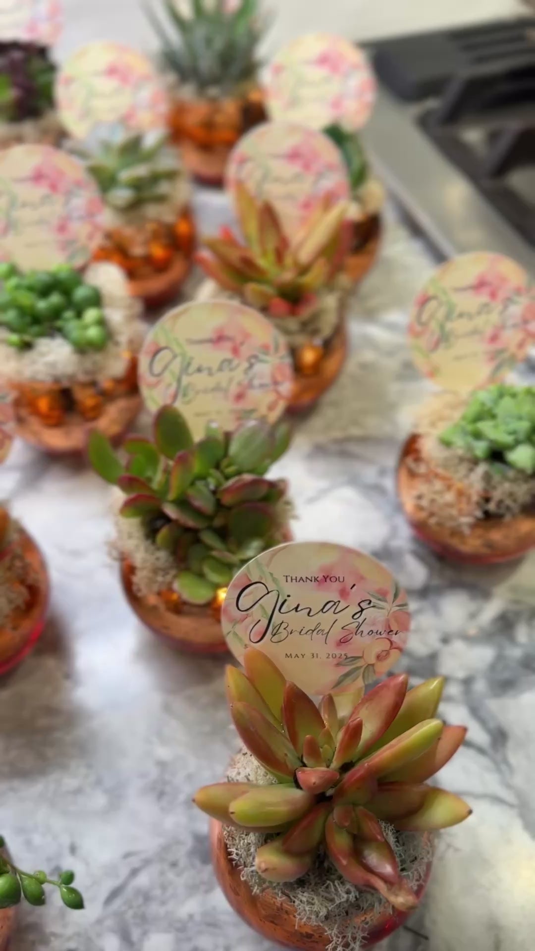 succulent bridal shower ideas Colored Glass Succulent Favor