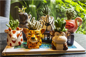 Plant Buddies Jungle Animals  - 6 Pack with succulents! SAVE $