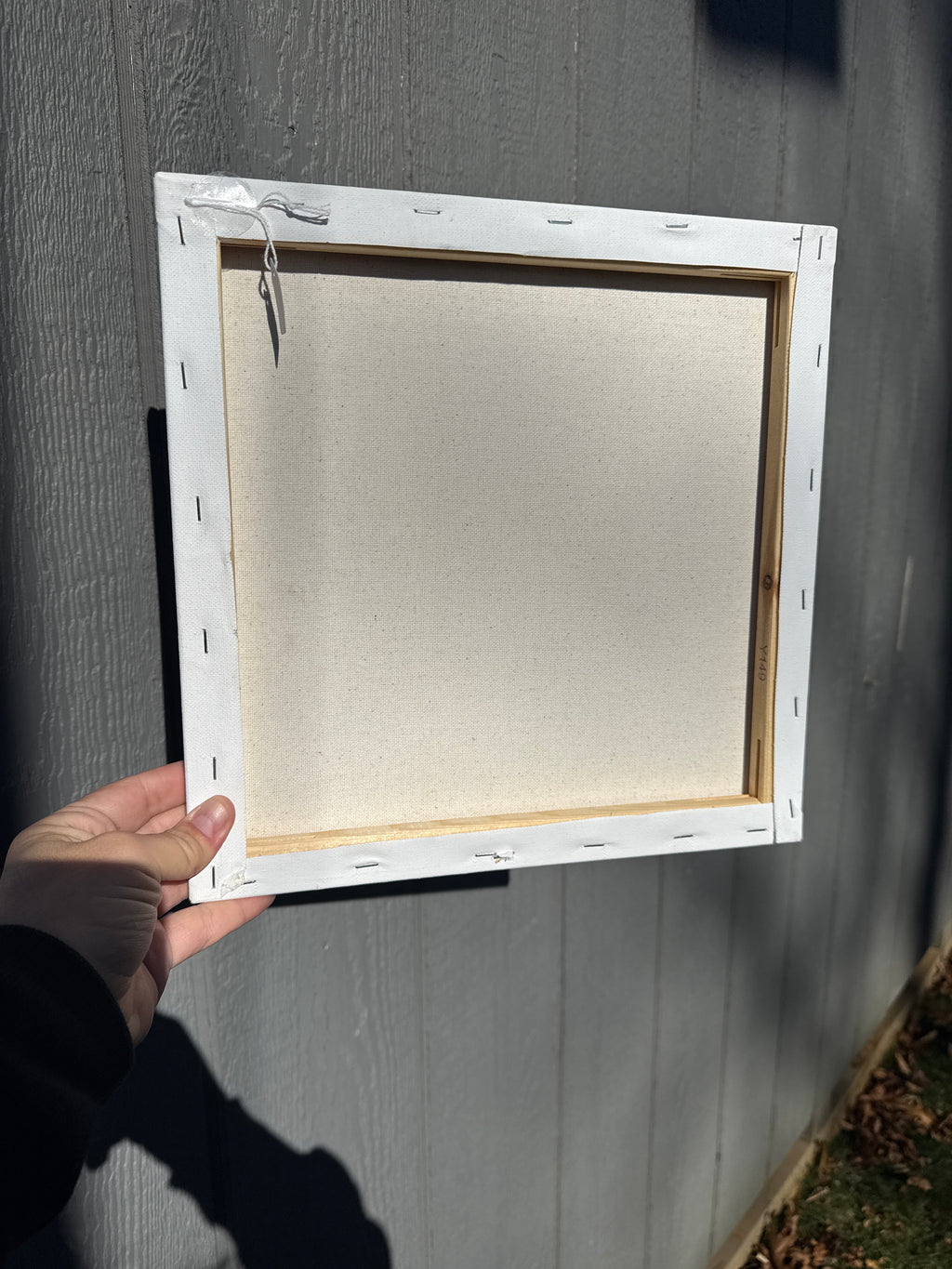 Gallery wrapped canvas, Succulent photography 10x10 wall art