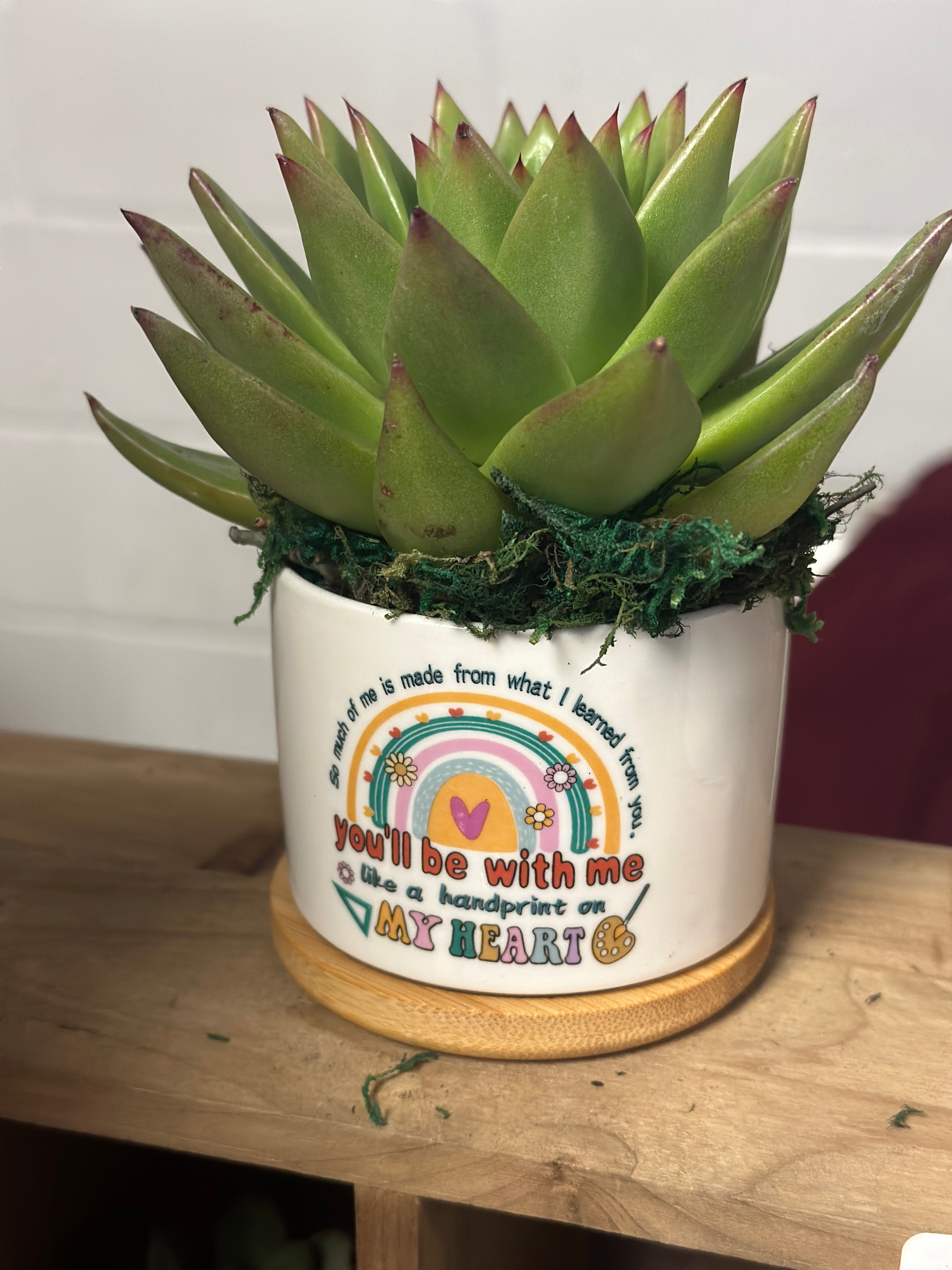 Teacher Gift 4” Succulent