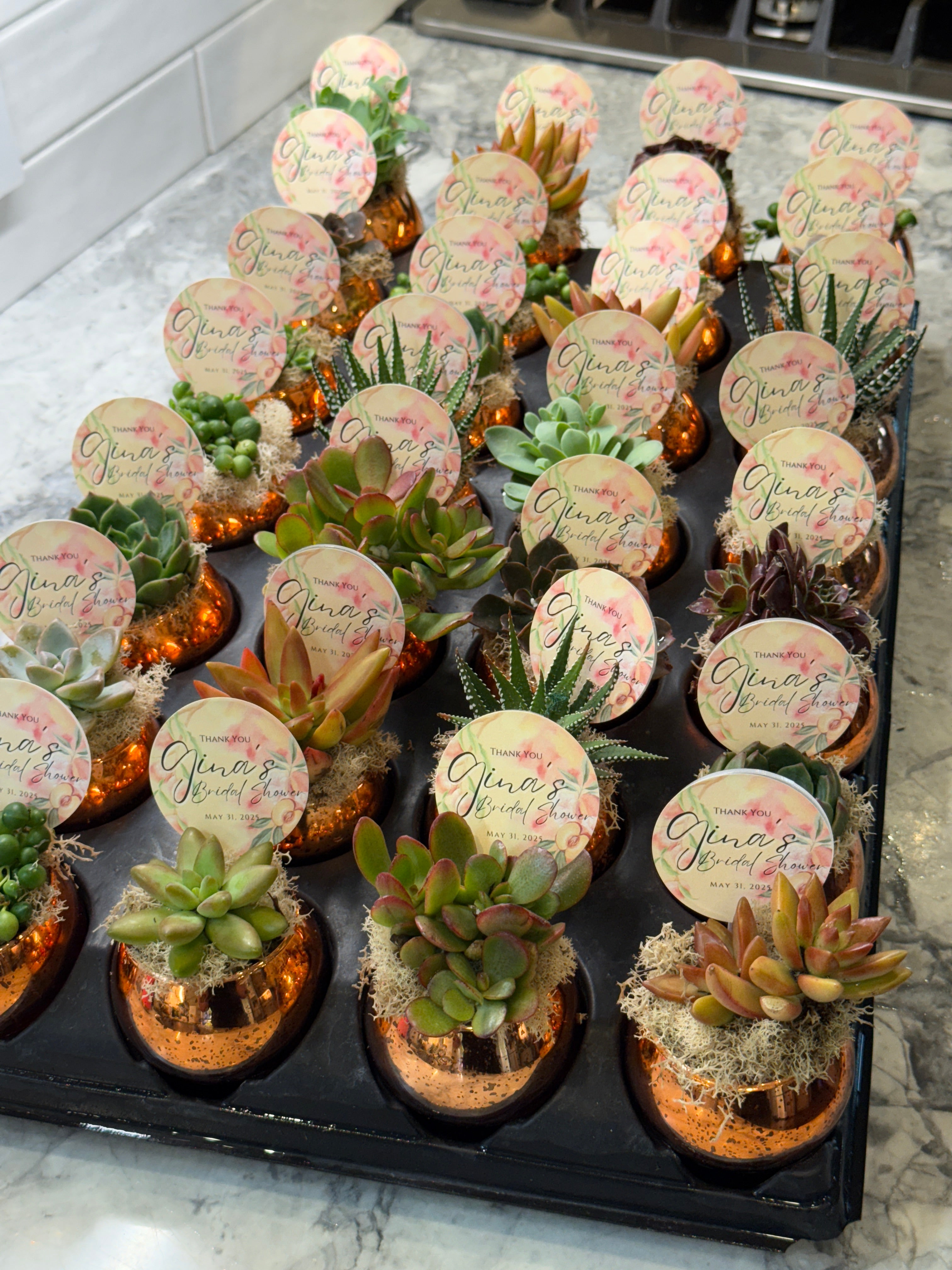 Colored Glass Succulent Favor - Customizable -Set of 10