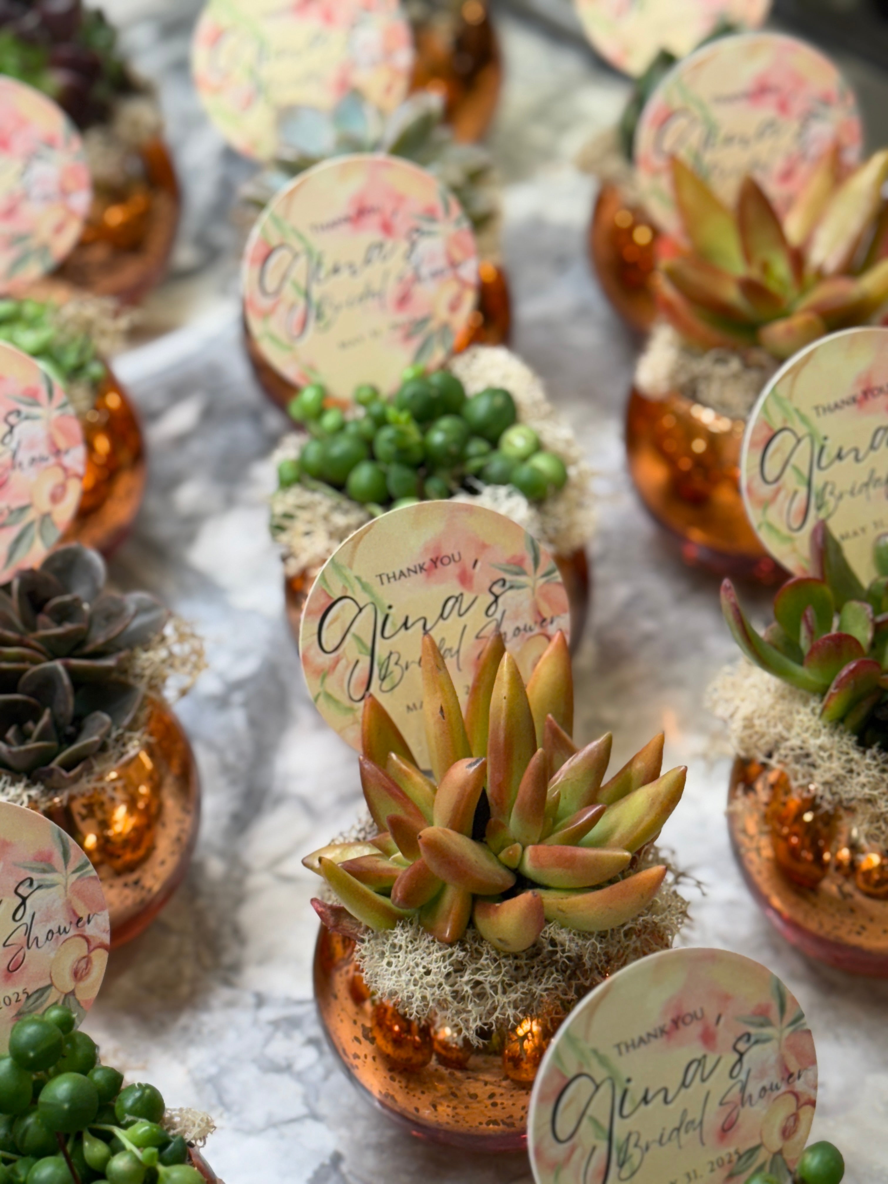 Colored Glass Succulent Favor - Customizable -Set of 10