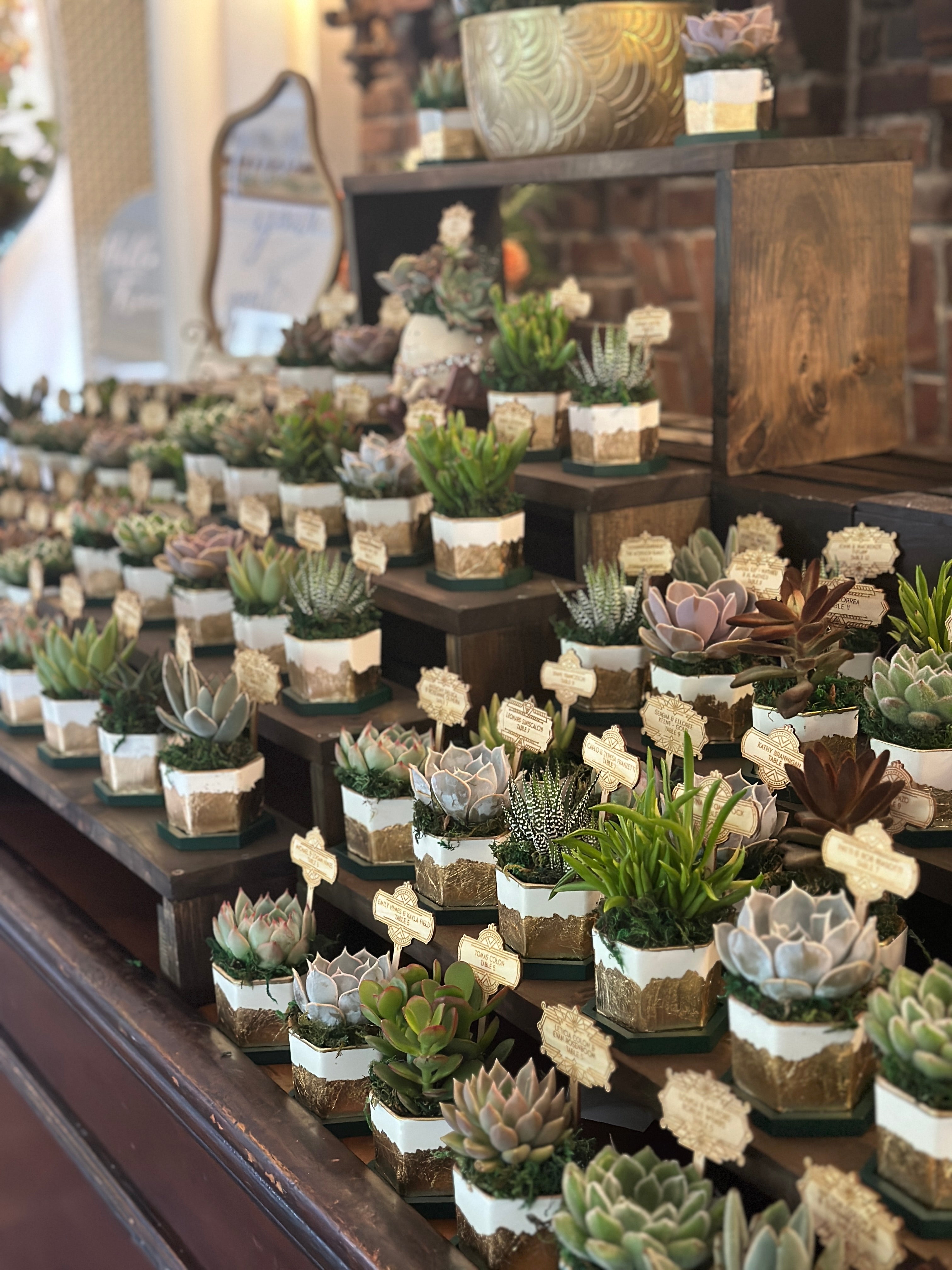 Gold Gilded and Bamboo Succulent Favors- Customizable colors- Set of 10