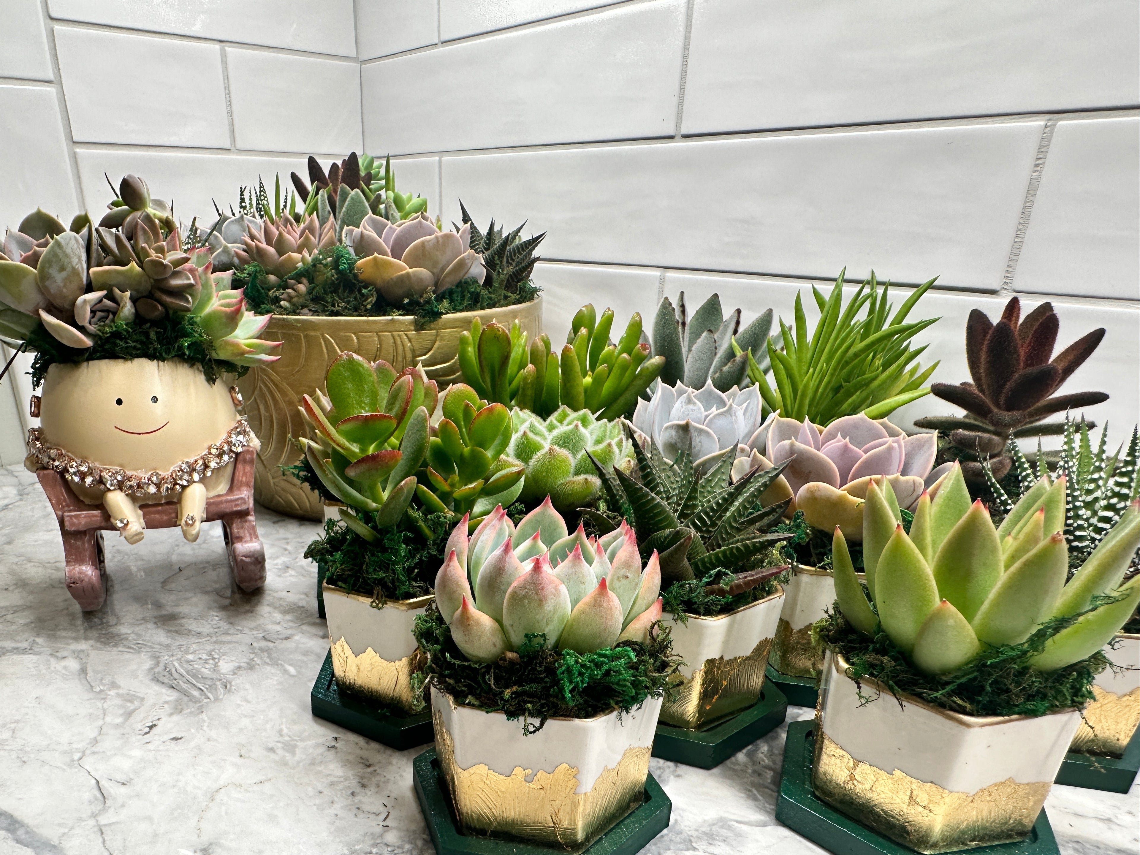 Gold Gilded and Bamboo Succulent Favors- Customizable colors- Set of 10