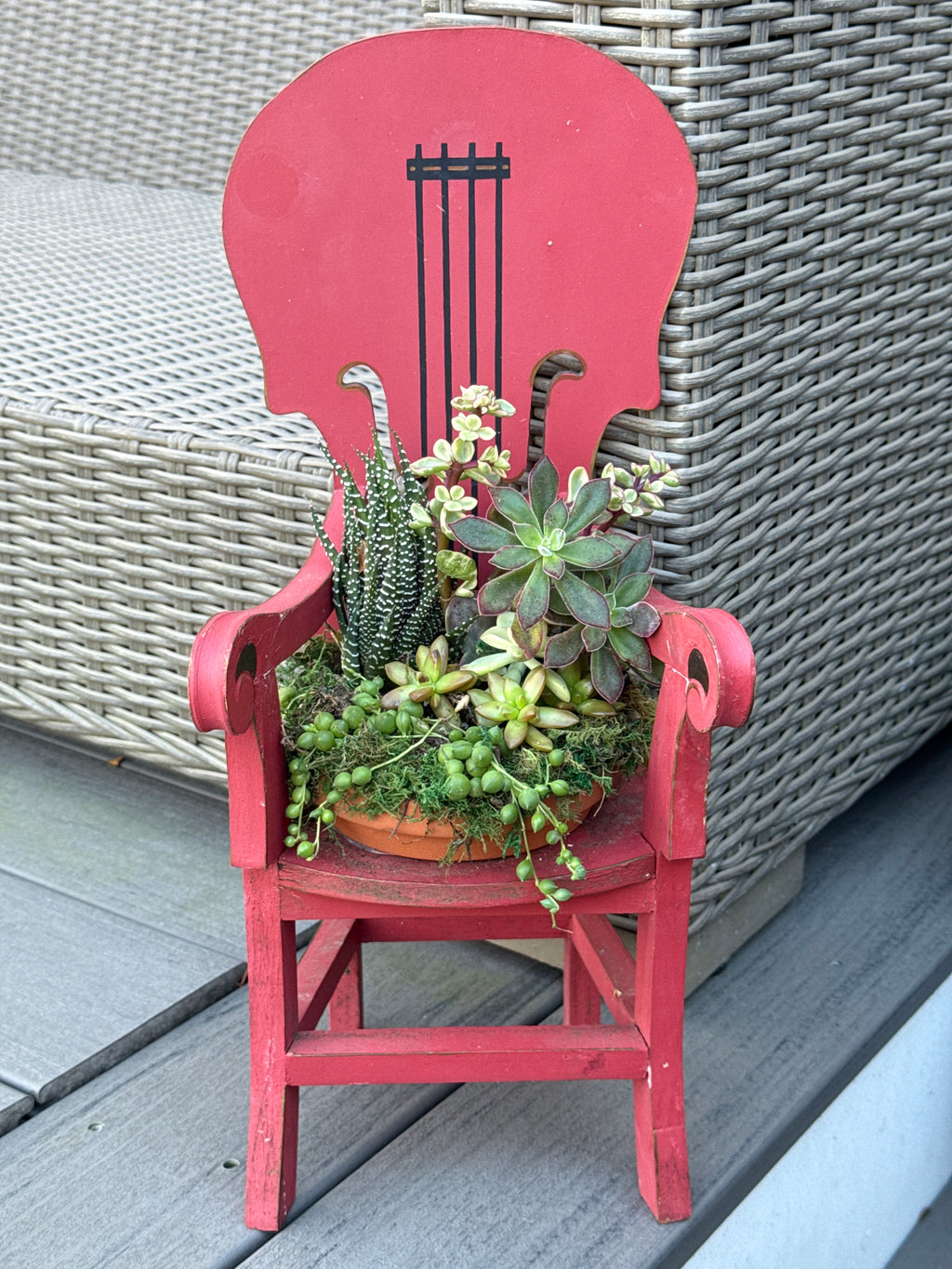 Musical Instrument Mini Chair succulent arrangement