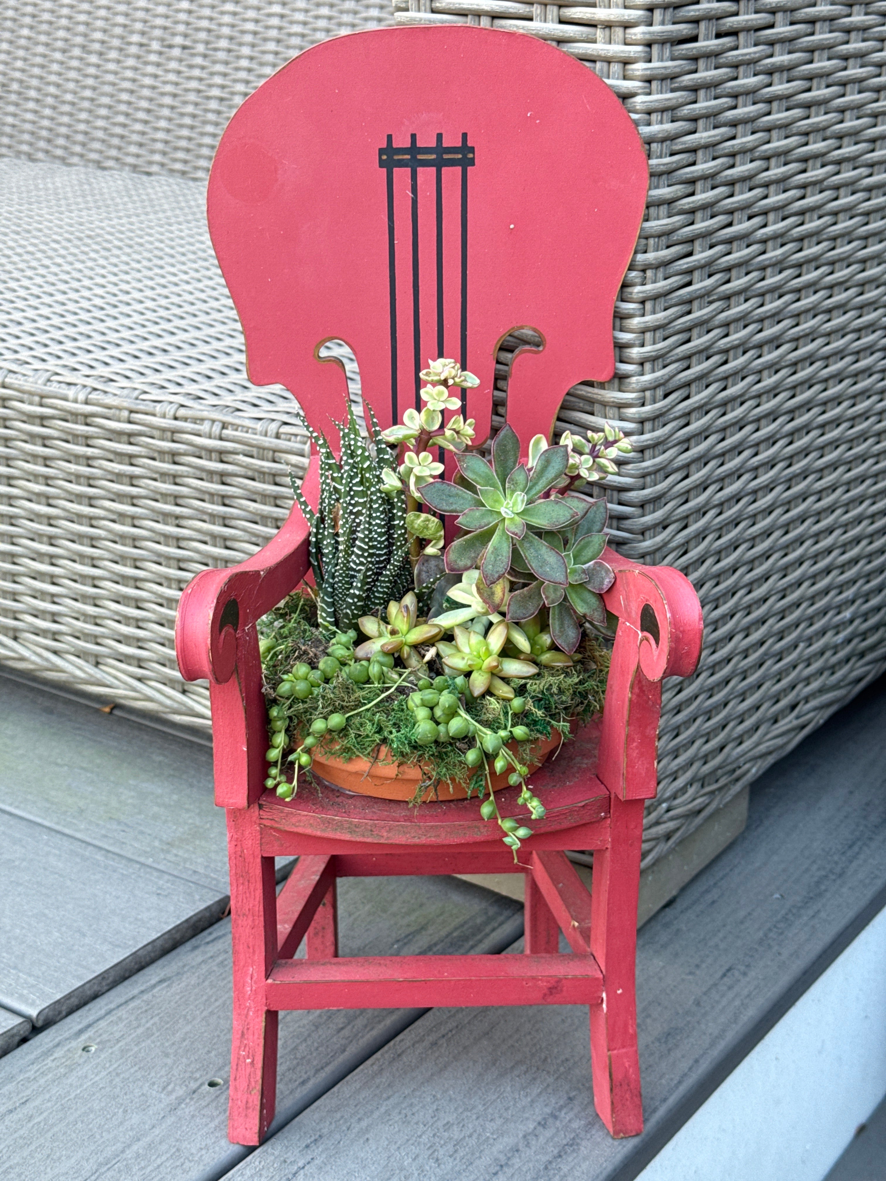 Musical Instrument Mini Chair succulent arrangement
