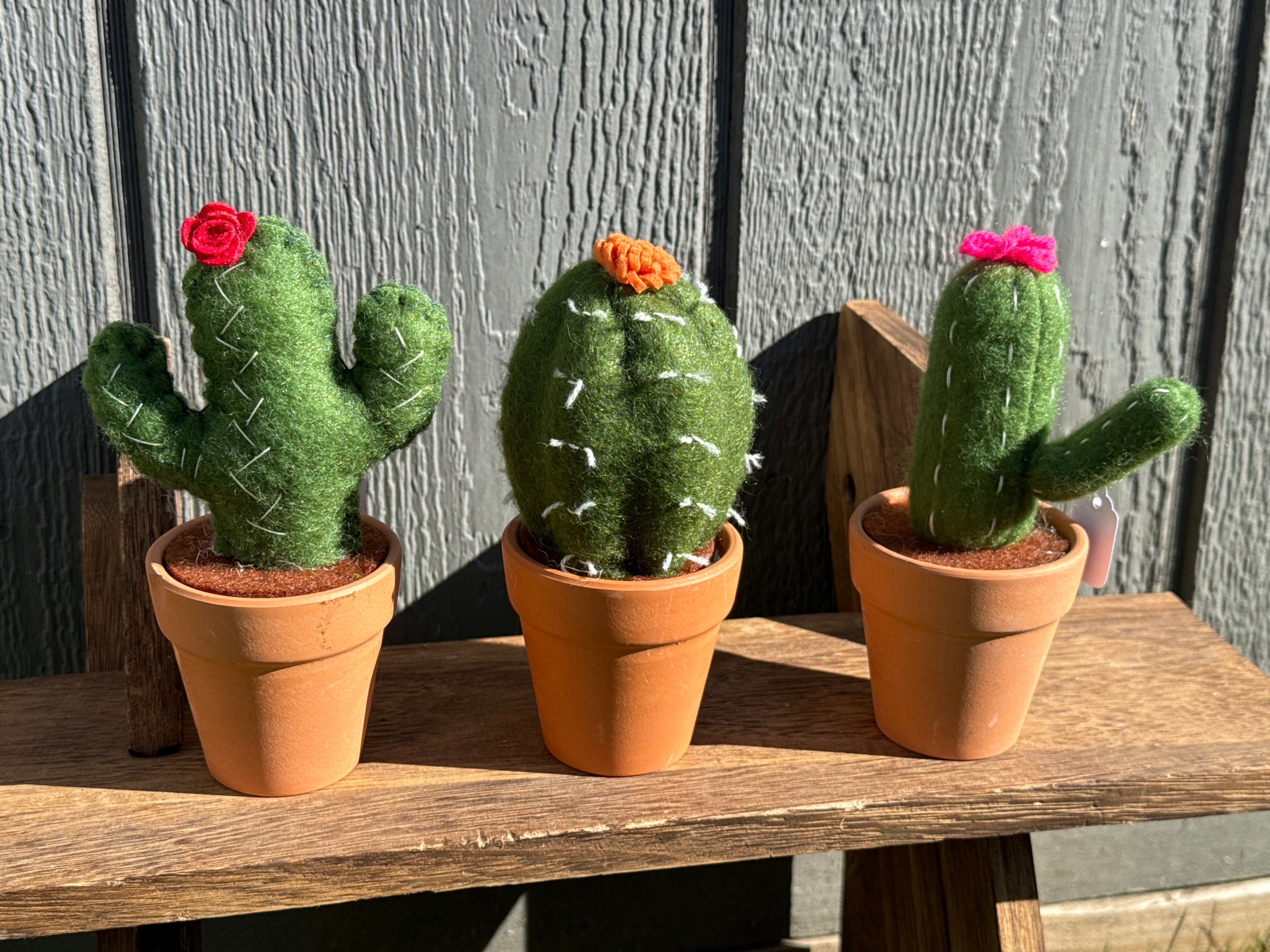 Wool Felted Catus in 3” Terra Cotta Pot
