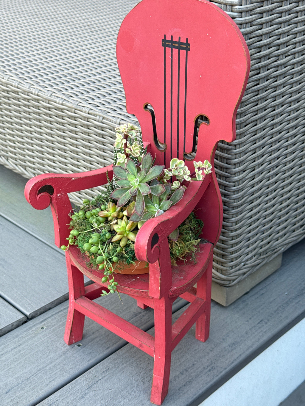 Musical Instrument Mini Chair succulent arrangement