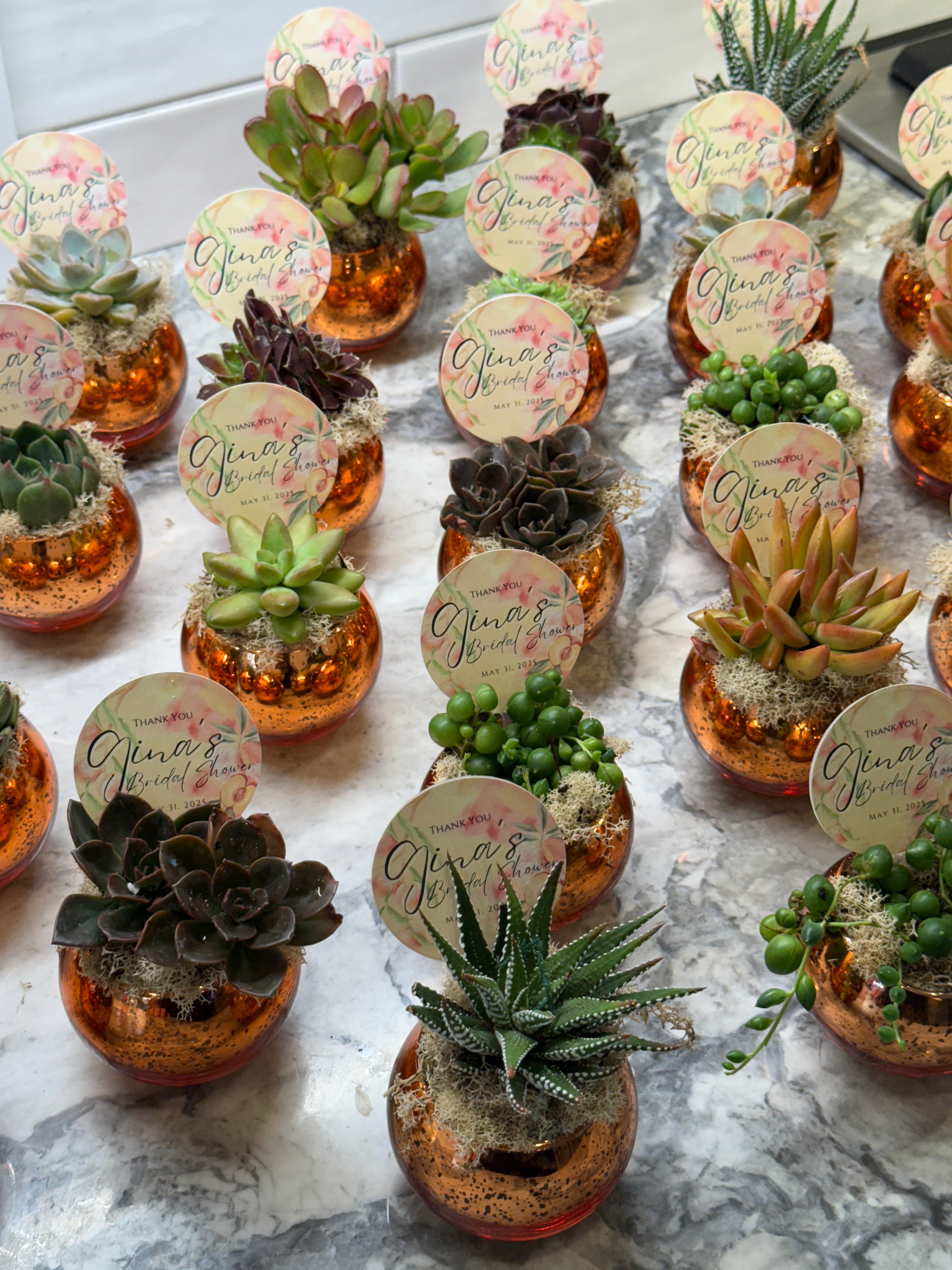 Colored Glass Succulent Favor - Customizable -Set of 10
