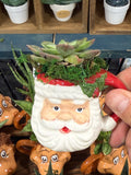 Santa Clause Buddy