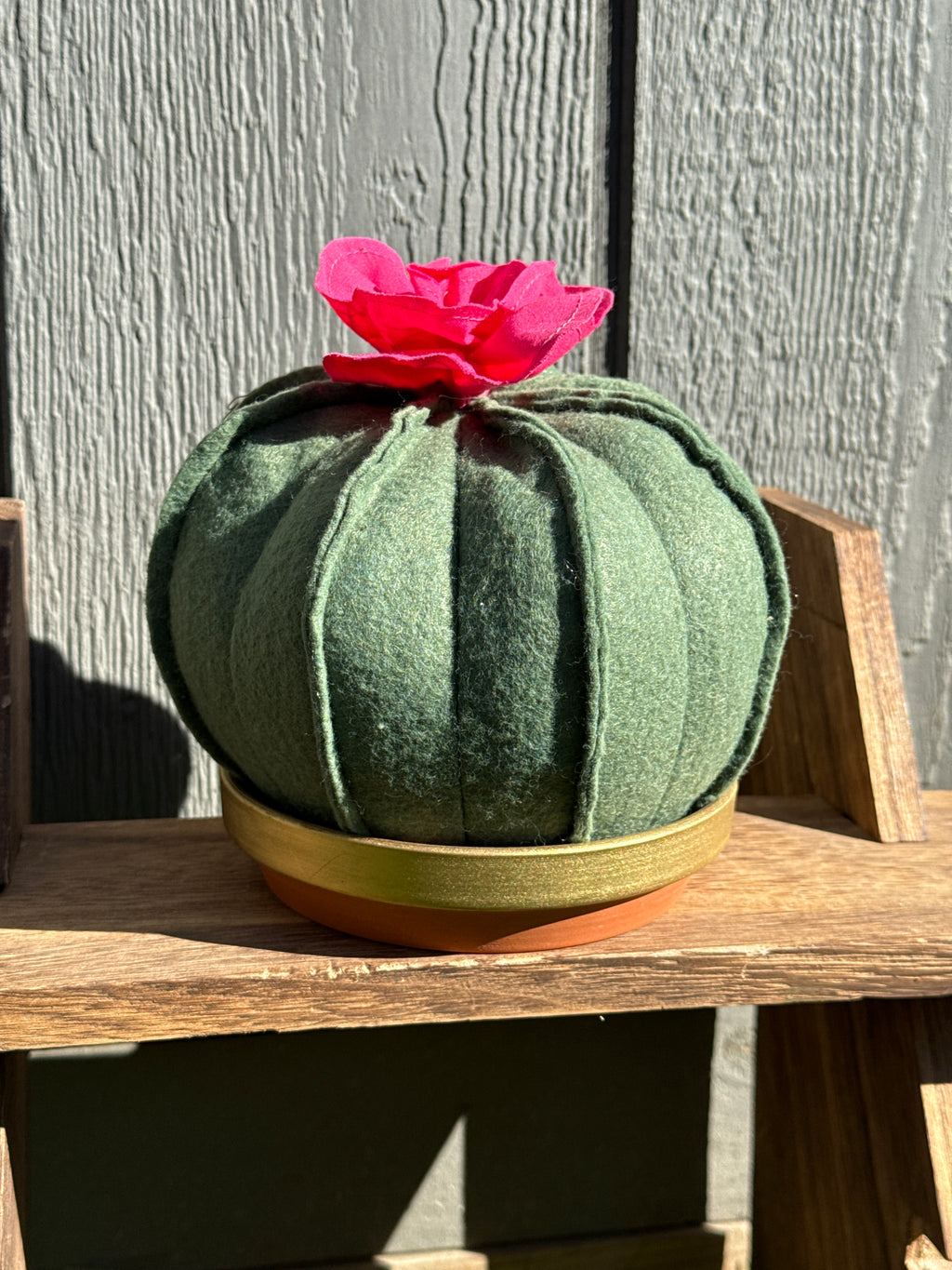 Wool Felted Cactus in a Terra Cotta Dish-Pink