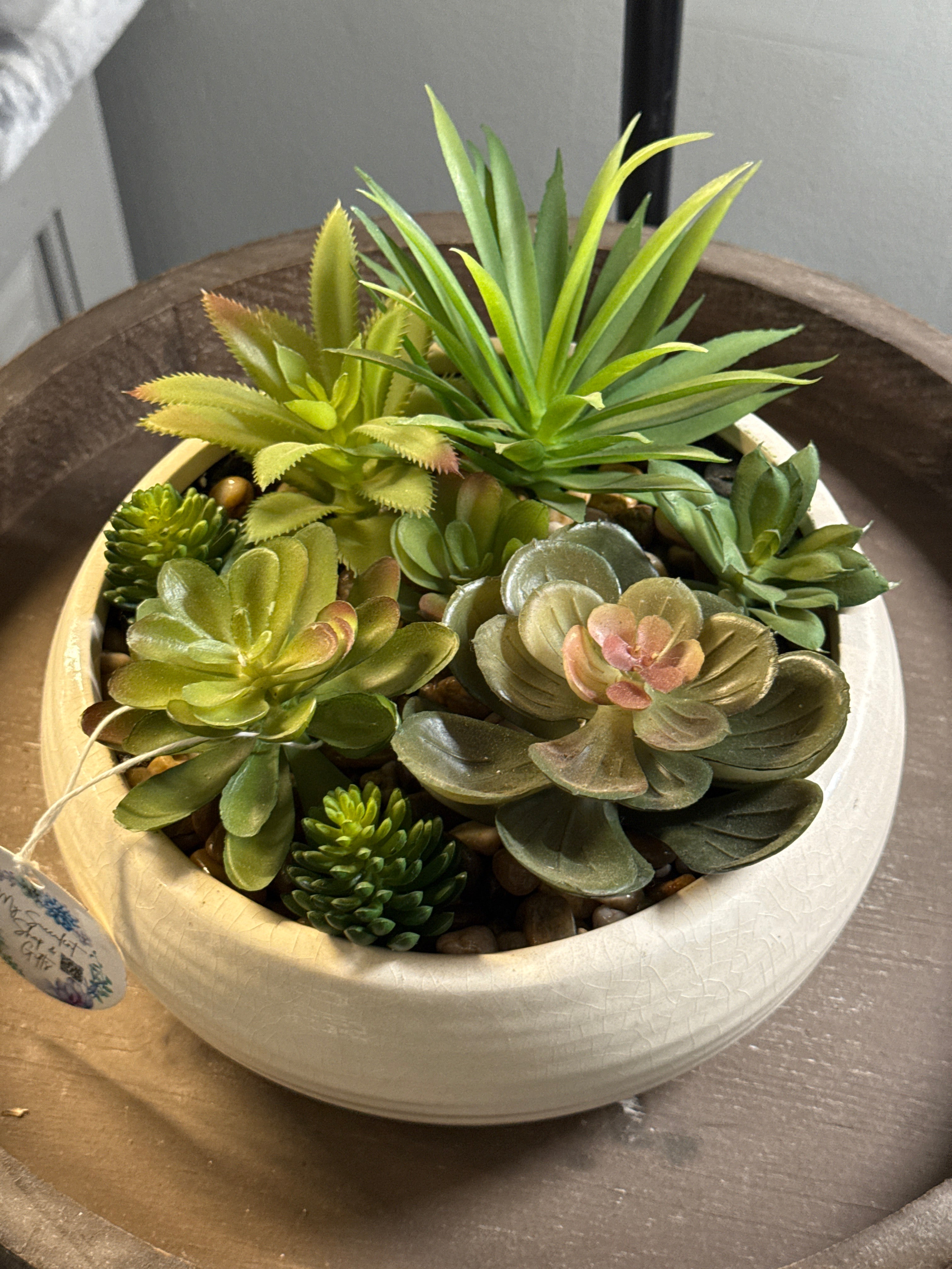 Forever Succulents in White Ceramic Pot 8”