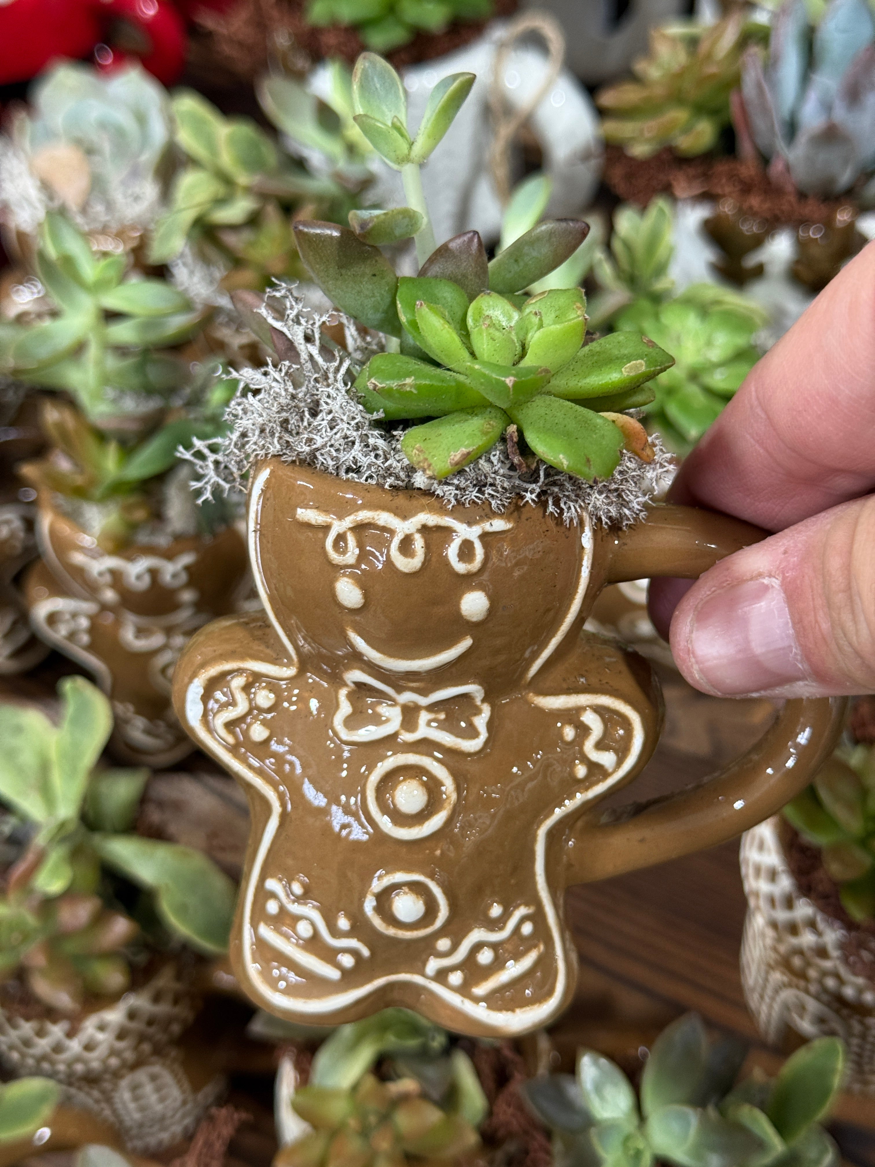 Gingerbread boy buddy