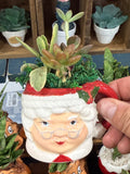 Mrs. Clause Buddy
