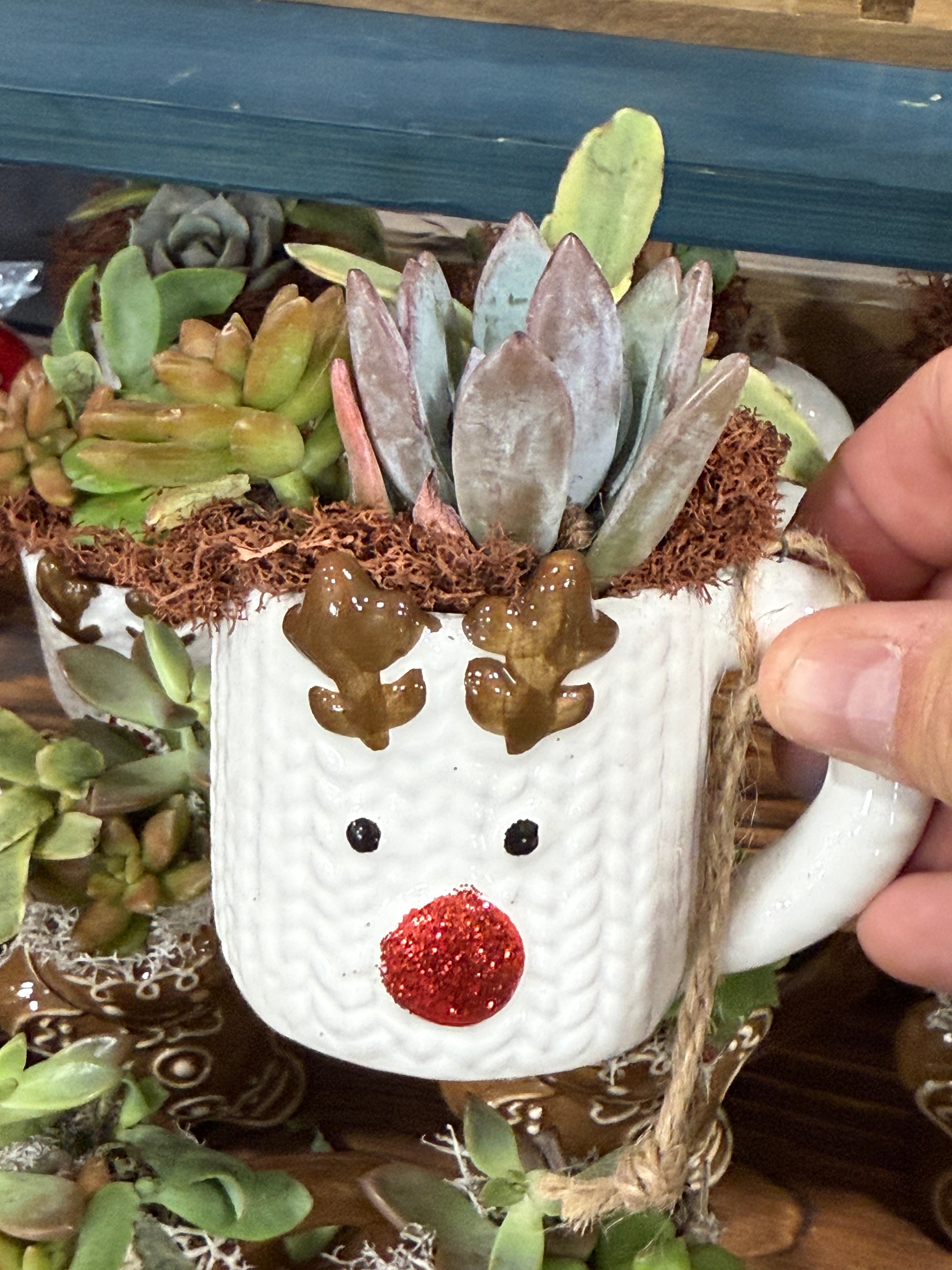 Rudolph Reindeer Buddy