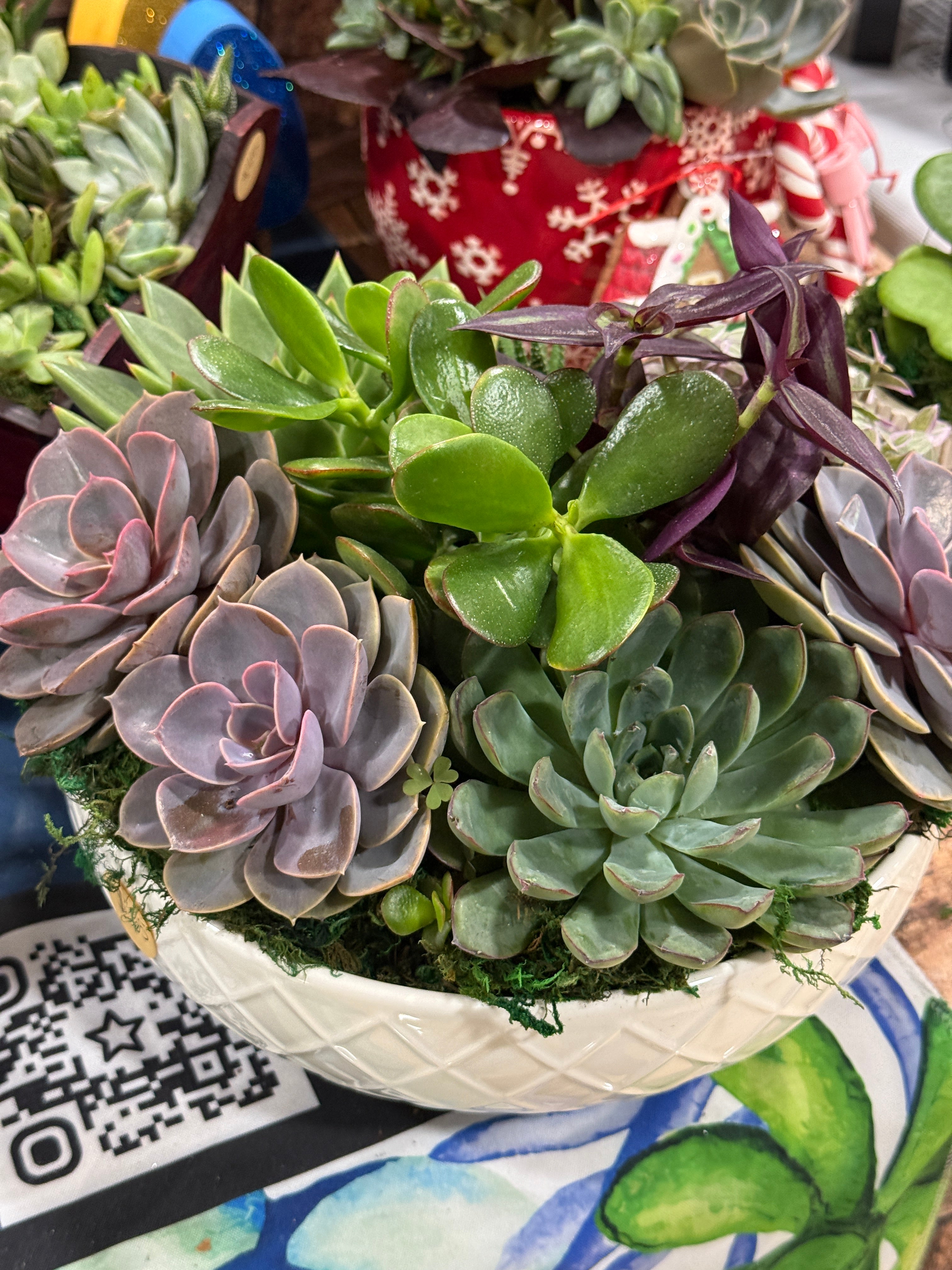 White Large Ceramic Dish