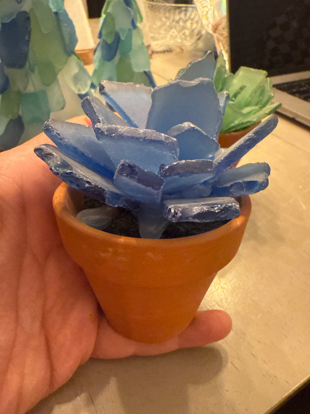 Seaglass Succulent Large 4" pot