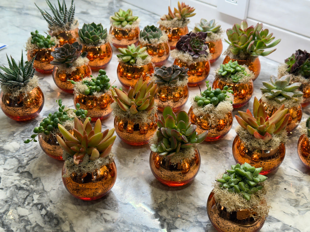 Colored Glass Succulent Favor - Customizable -Set of 10