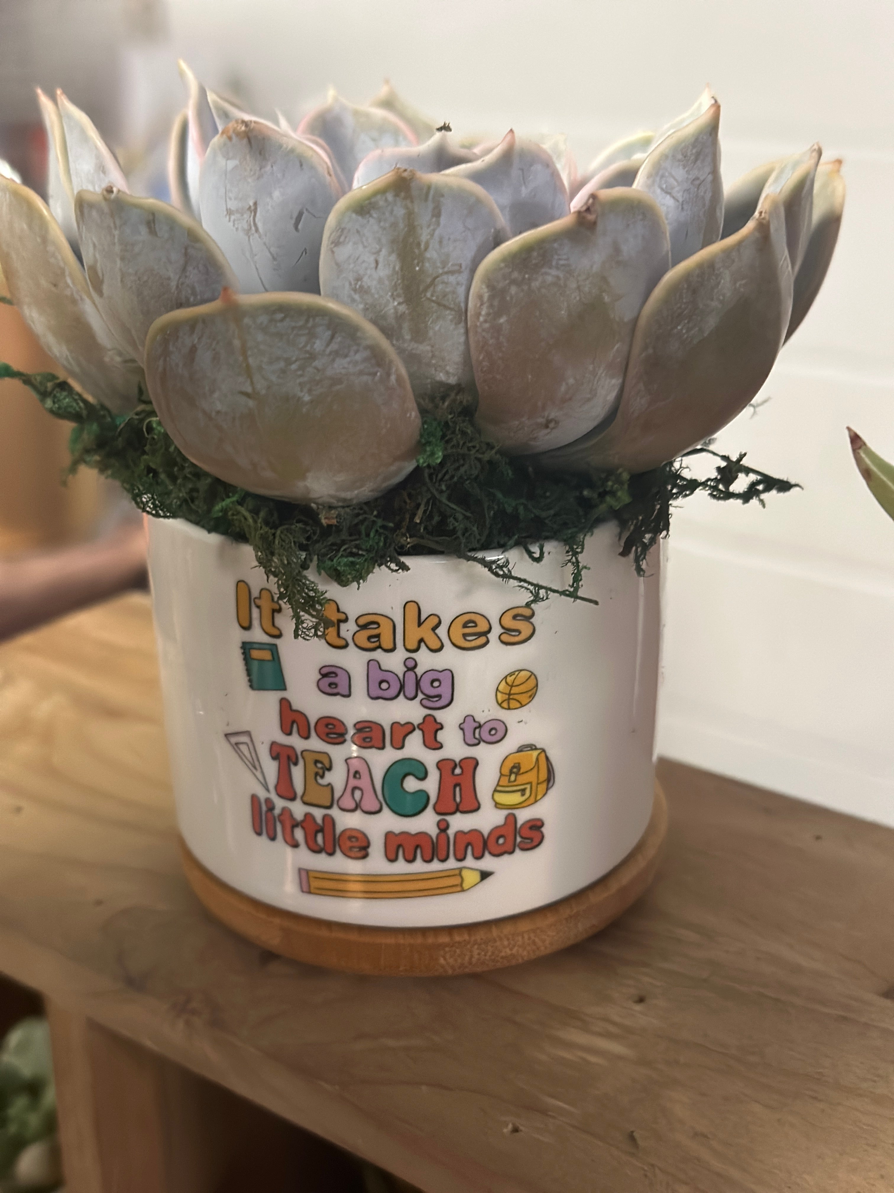 Teacher Gift 4” Succulent