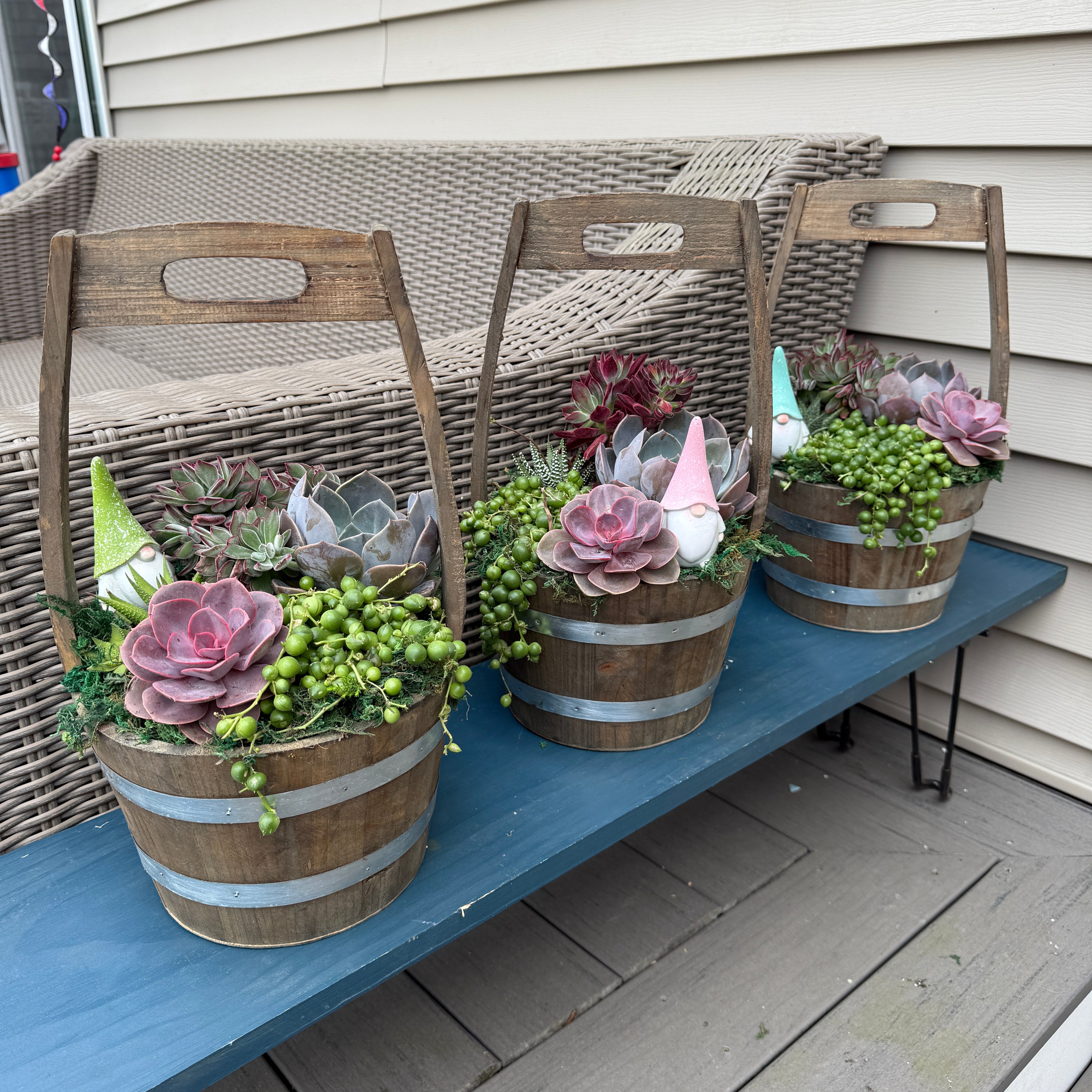 Wishing Well Succulent Arrangement