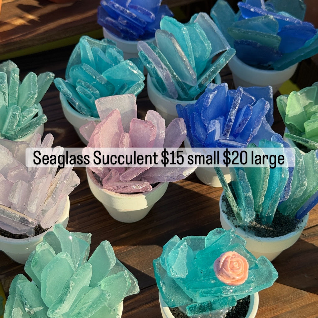 Seaglass Succulent Large 4" pot