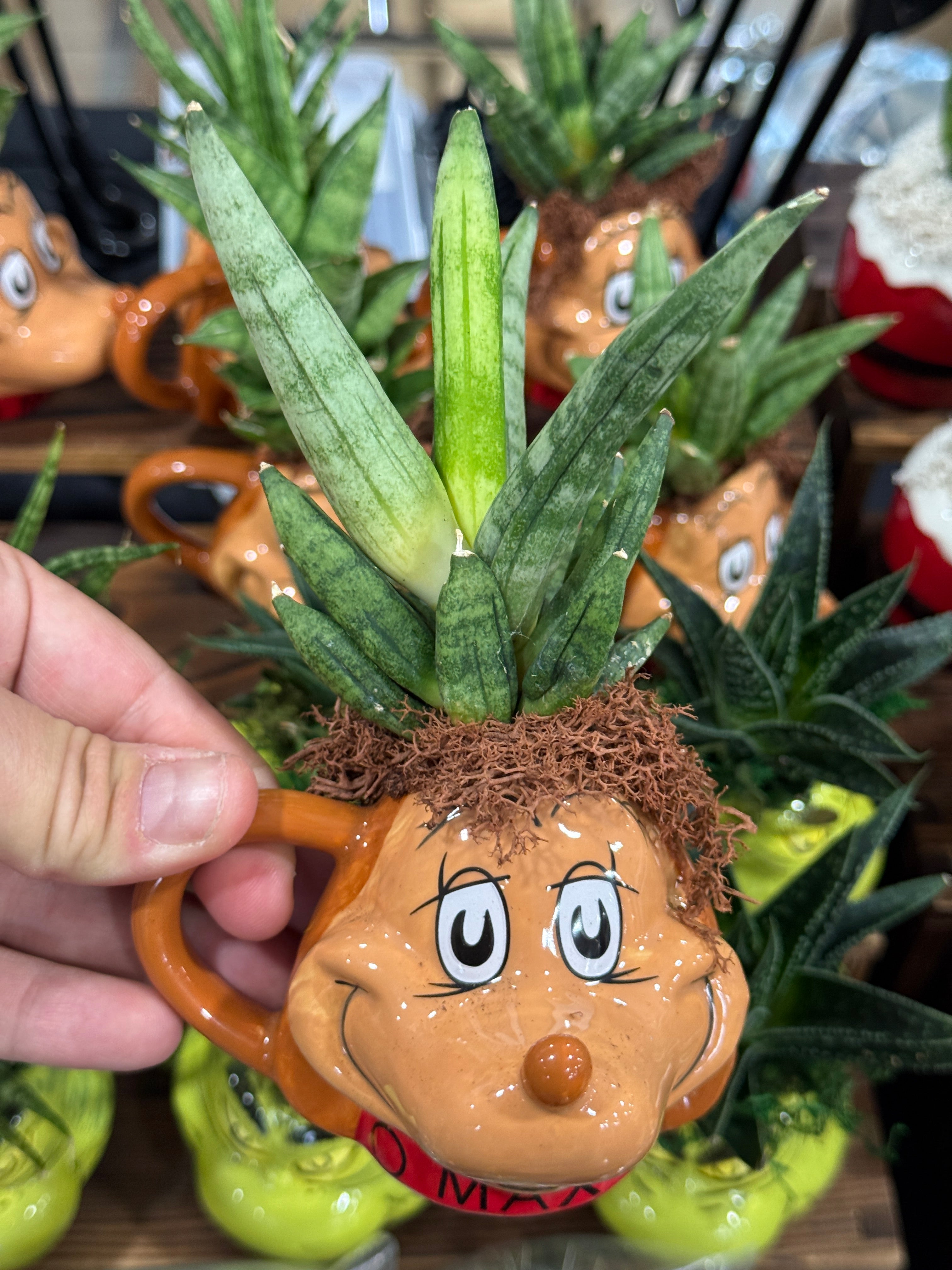 Max from The Grinch Buddy