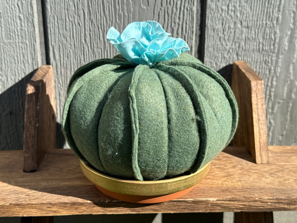 Wool Felted Cactus in a Terra Cotta Dish-Pink