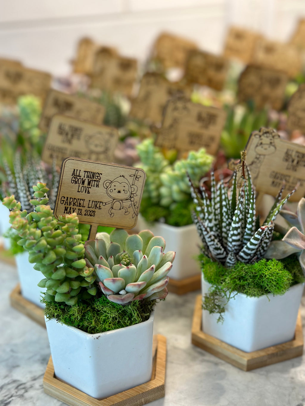 Baby Shower Favors - Customizable Set of 10