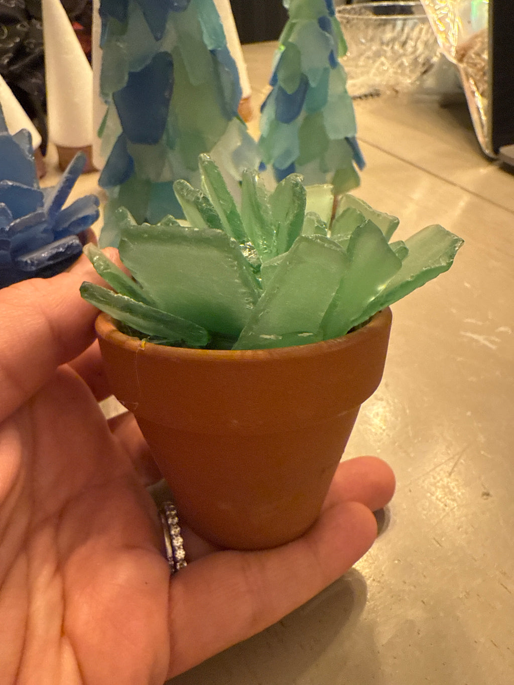 Seaglass Succulent Large 4" pot