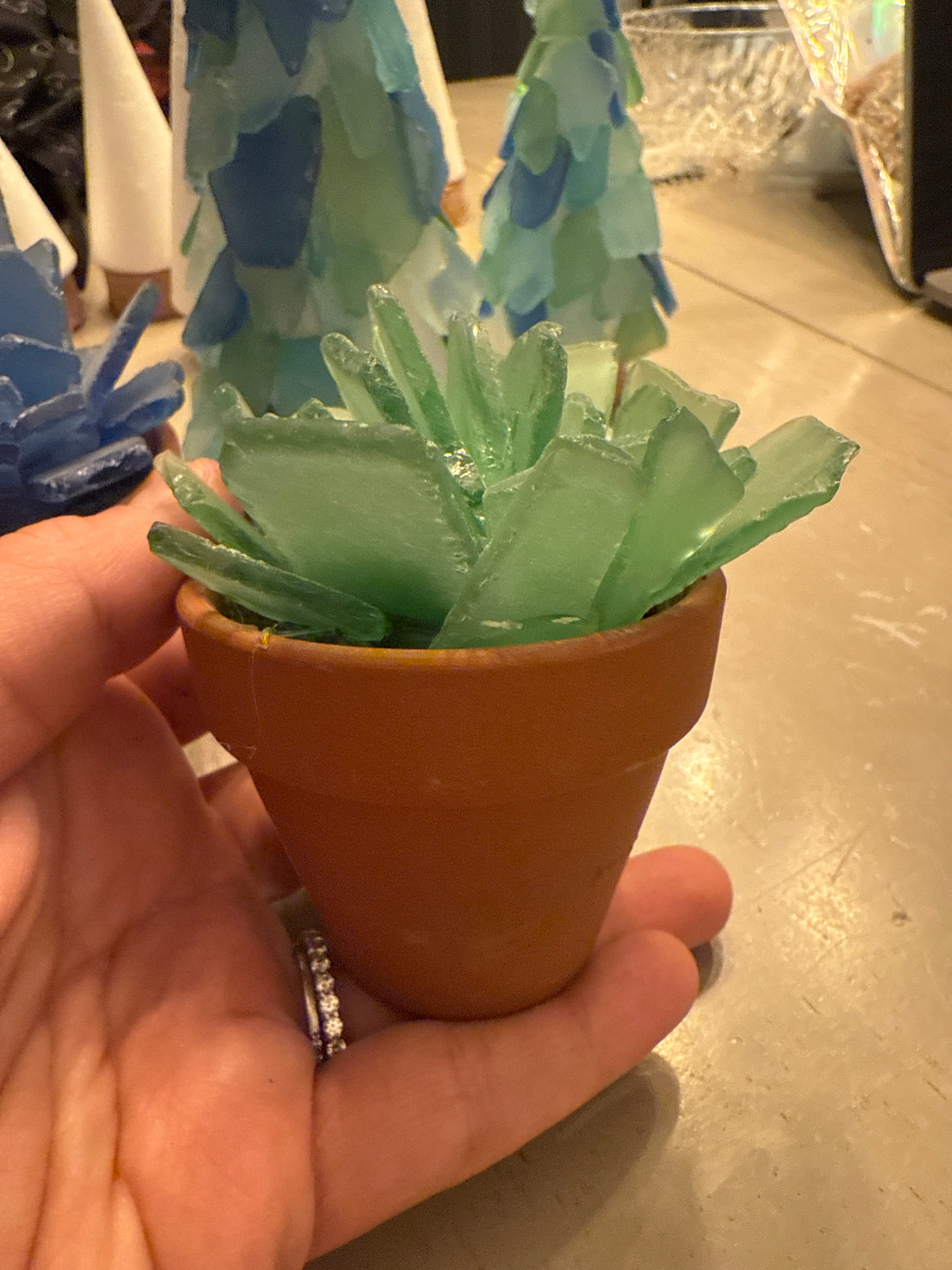 Seaglass Succulent Small 2" Pot