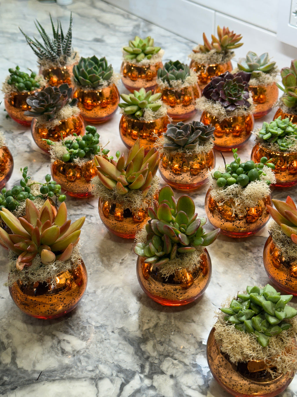 Colored Glass Succulent Favor - Customizable -Set of 10