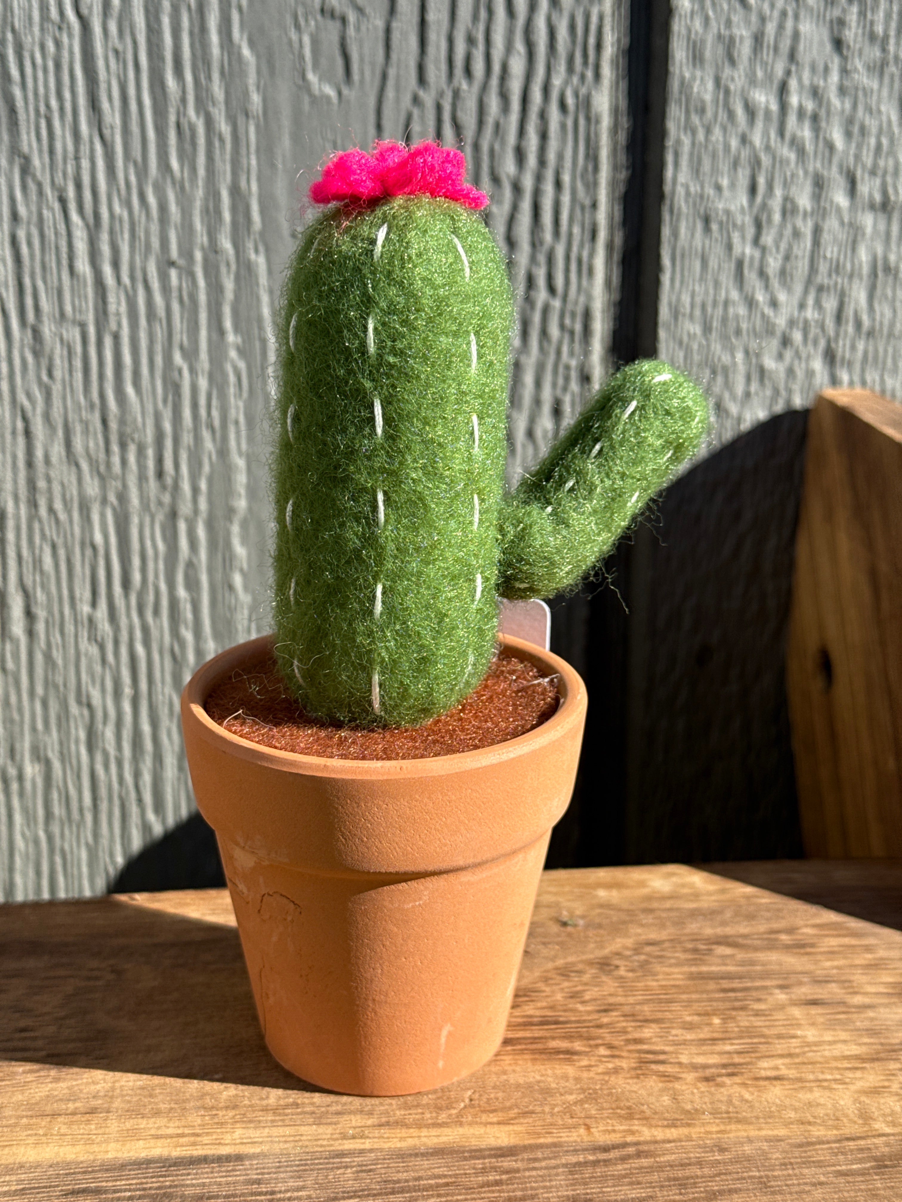 Wool Felted Catus in 3” Terra Cotta Pot