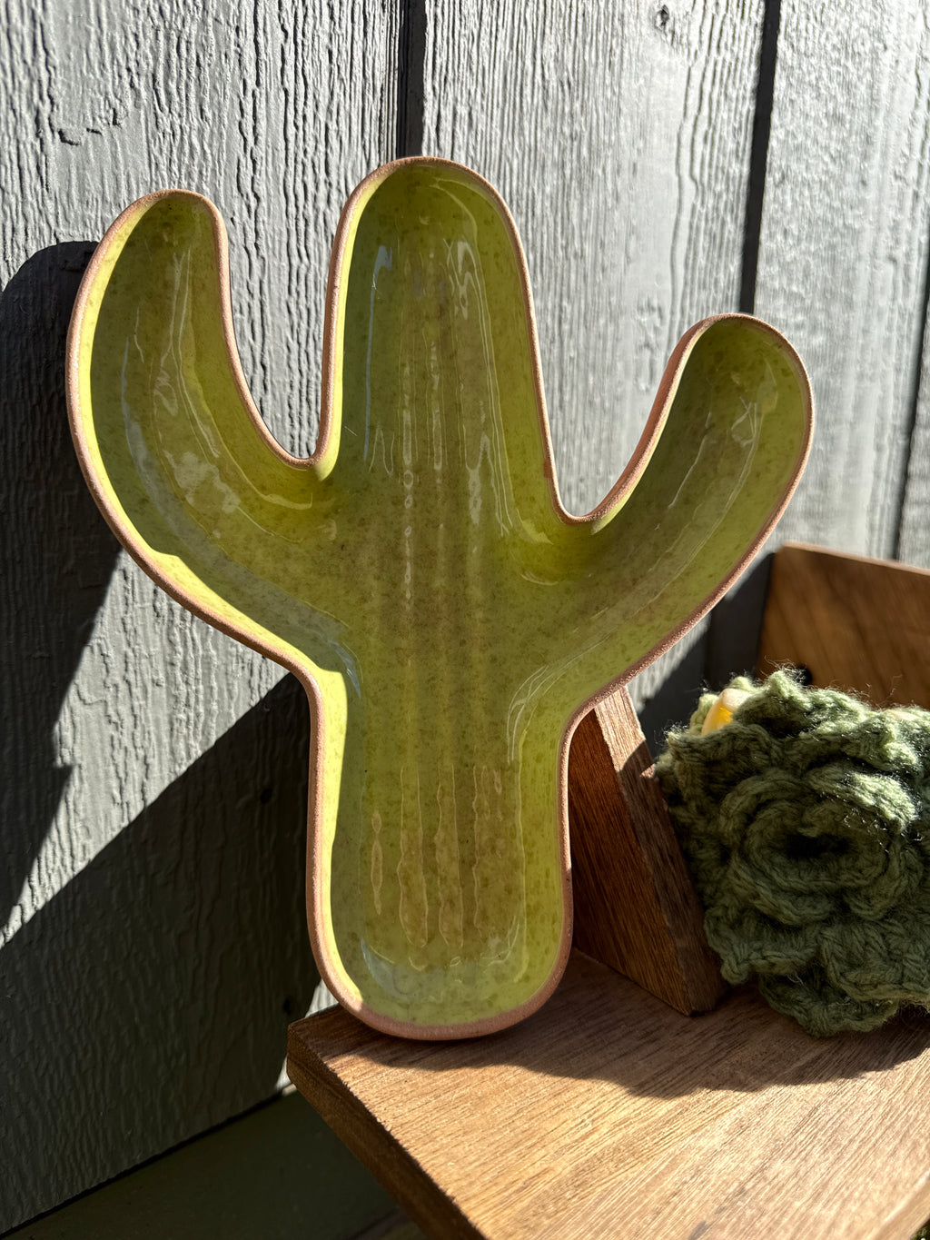 Terra Cotta Cactus Jewlery Dish