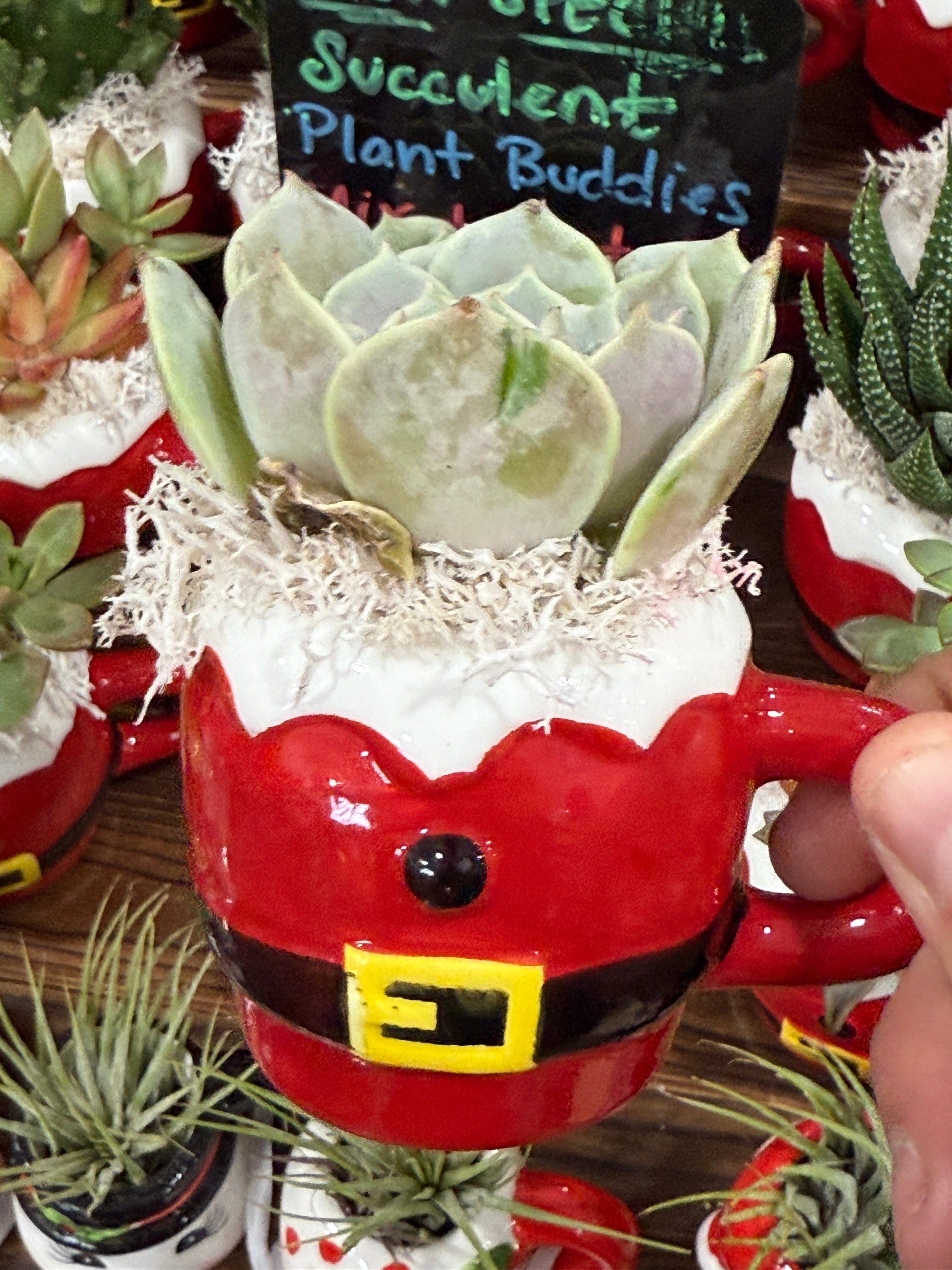 Santa Clause Outfit Buddy