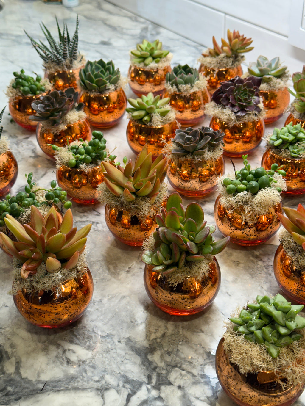 Colored Glass Succulent Favor - Customizable -Set of 10