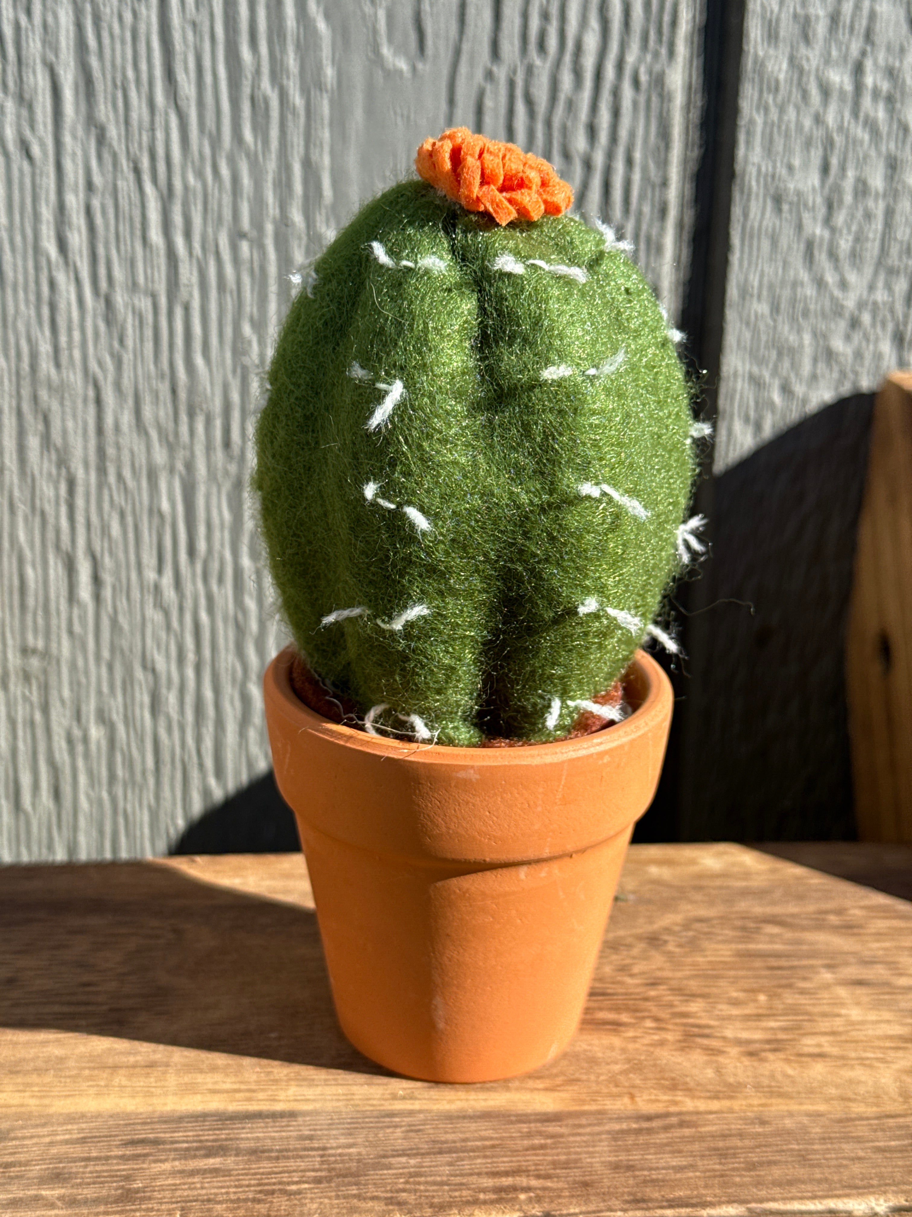 Wool Felted Catus in 3” Terra Cotta Pot