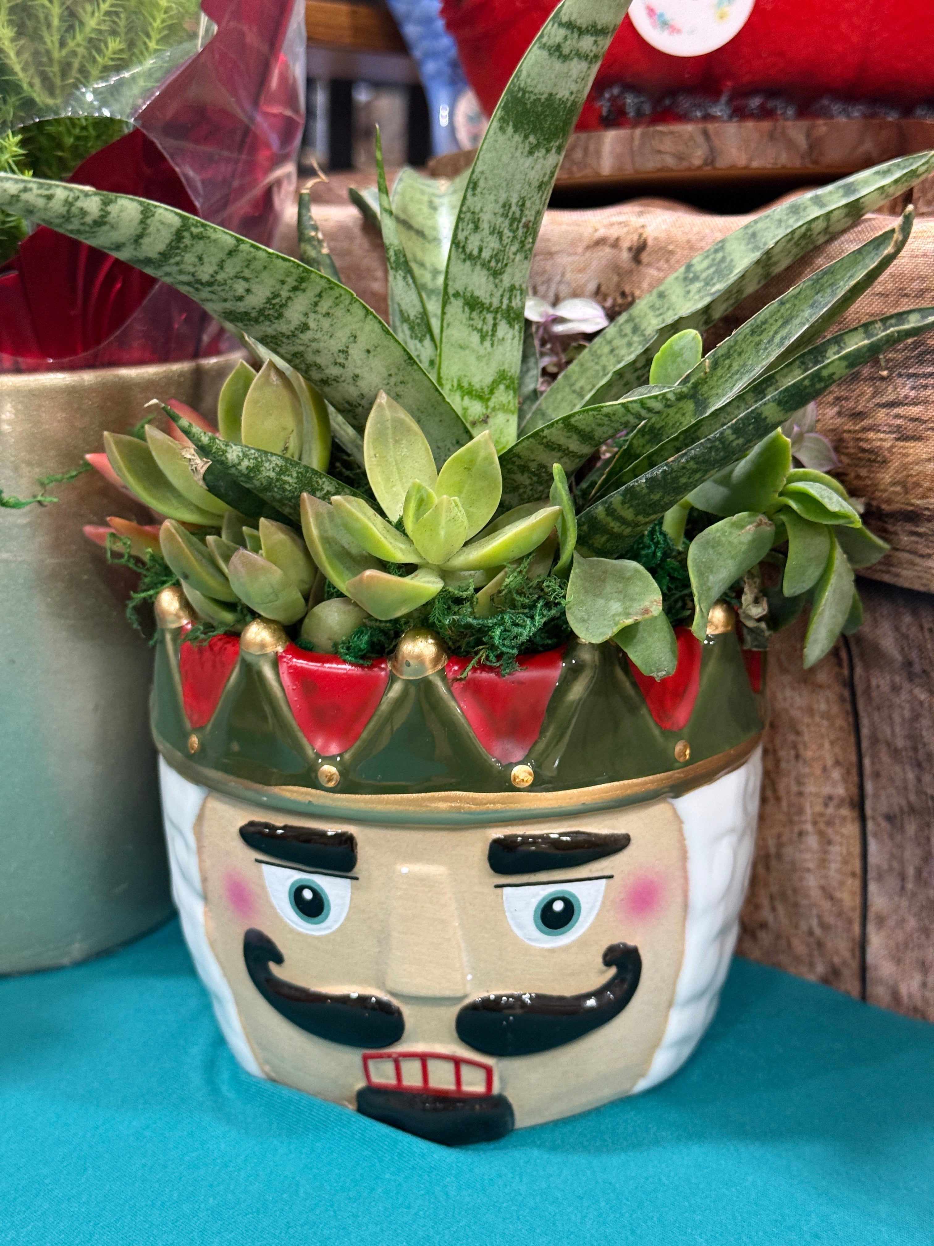 Nutcracker Succulent Arrangement