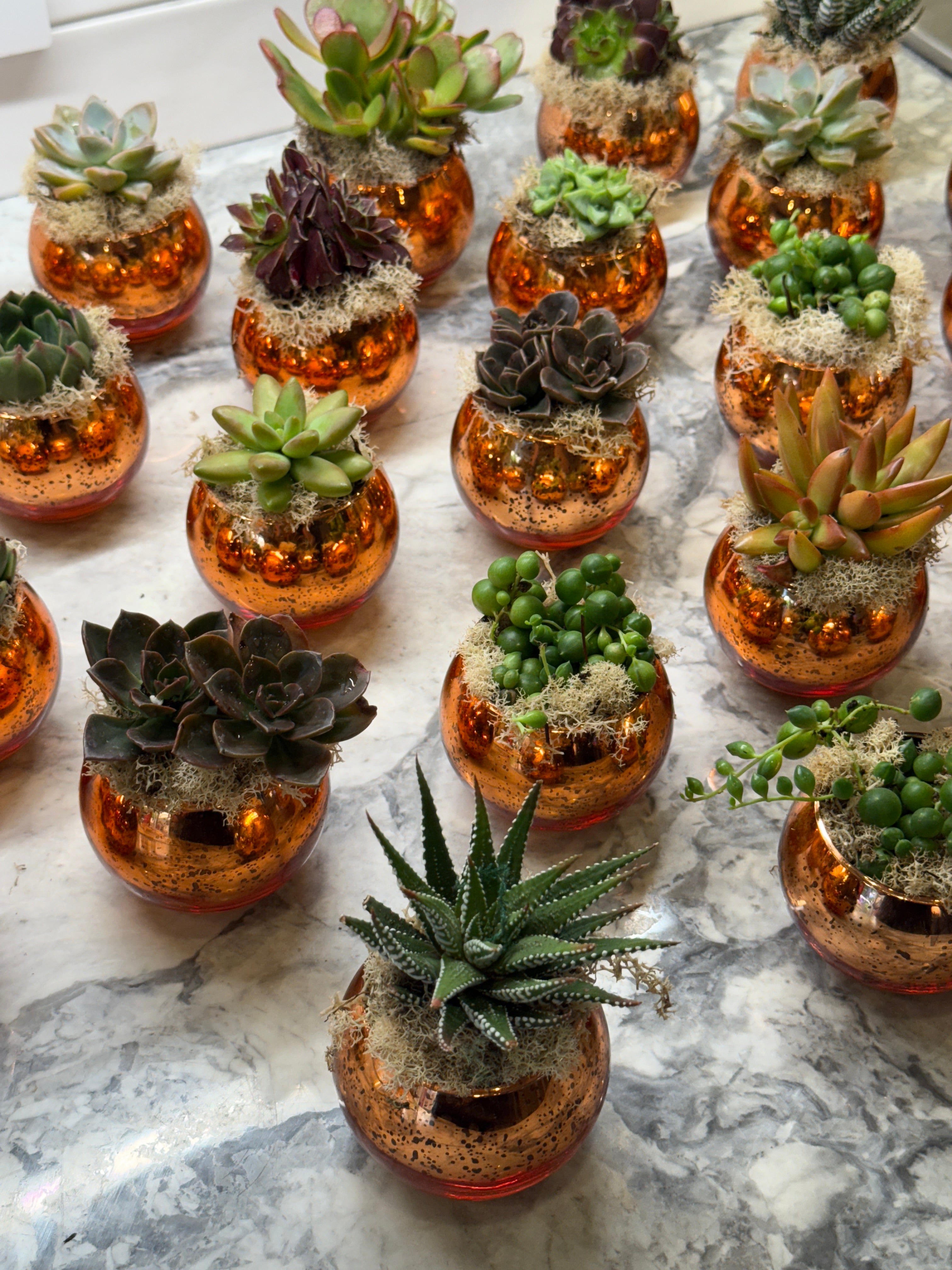 Colored Glass Succulent Favor - Customizable -Set of 10