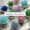 Seaglass Succulent Large 4" pot