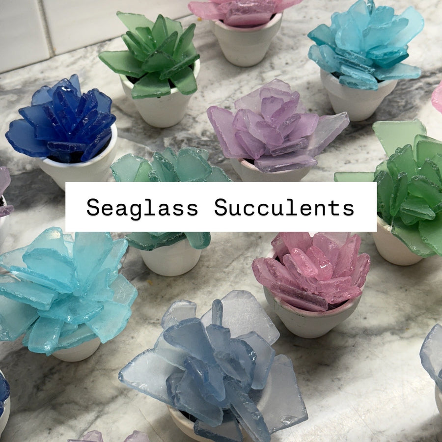 Seaglass Succulents