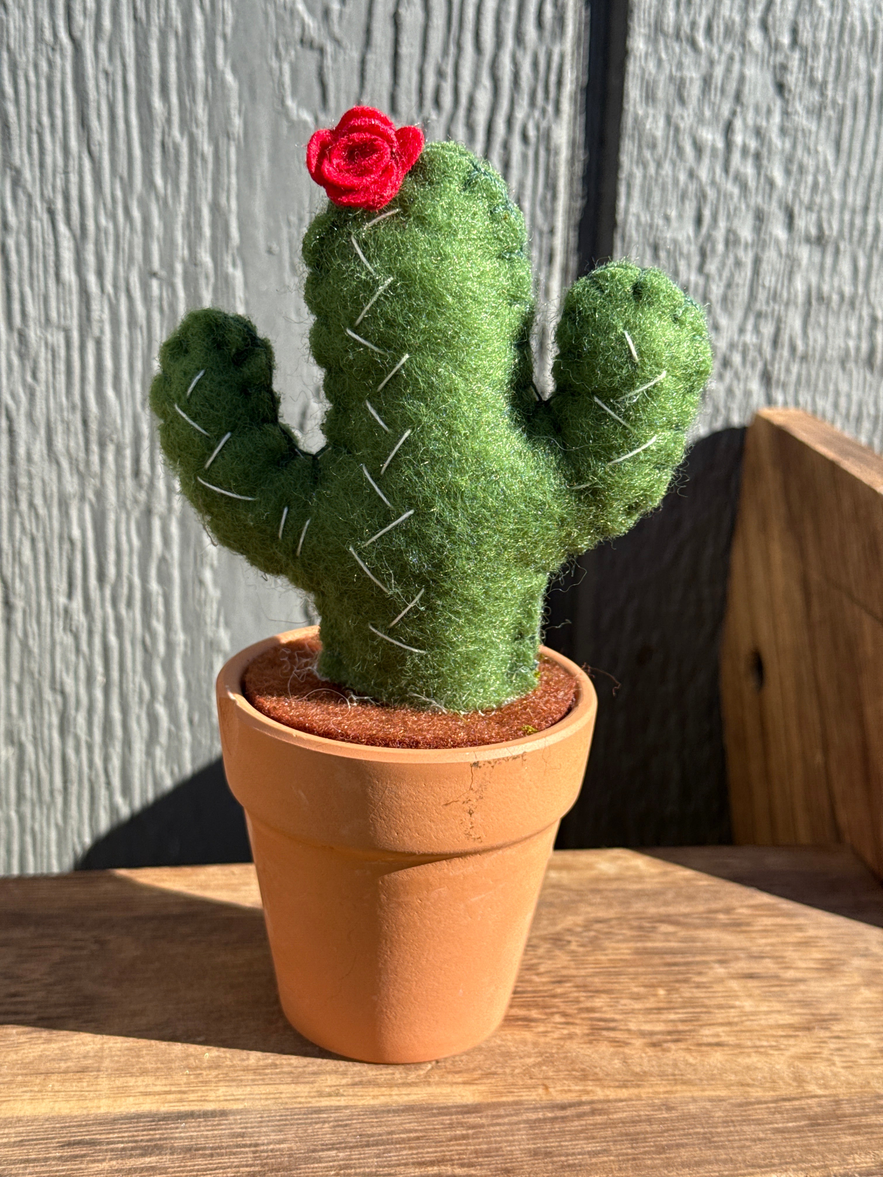 Wool Felted Catus in 3” Terra Cotta Pot