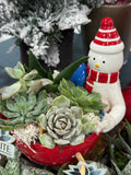Snowman Succulent Arrangement