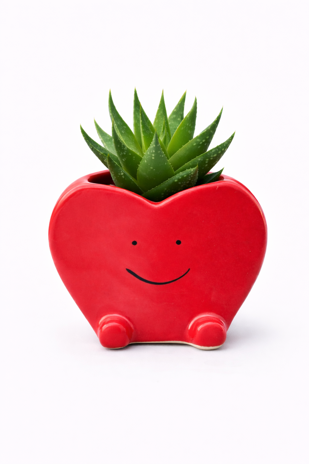 Happy Buddy Heart Planter
