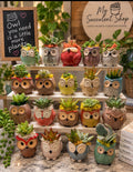 Surprise Owl Buddy