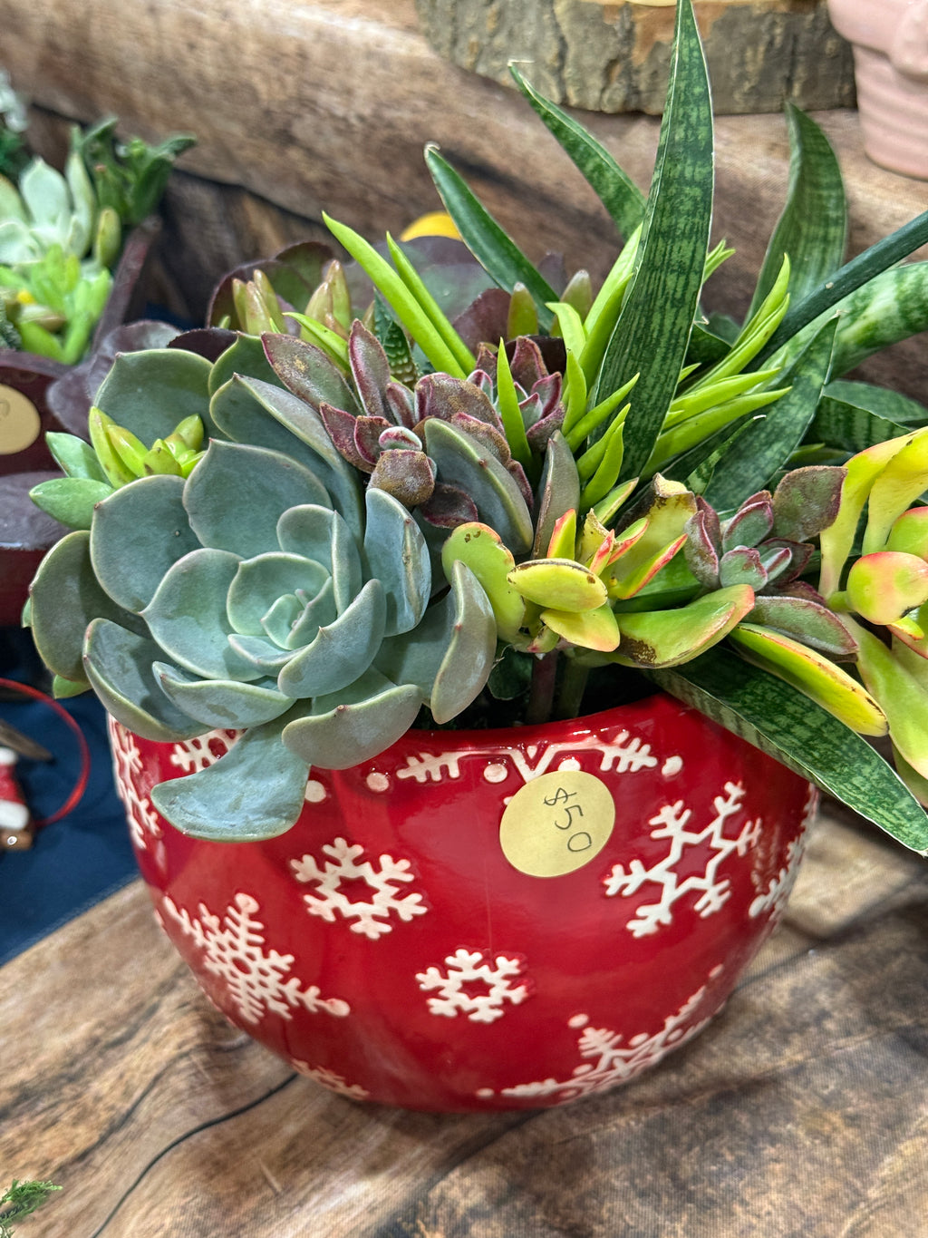 Snowflake Ceramic Succulent Garden 8" Dish Gift