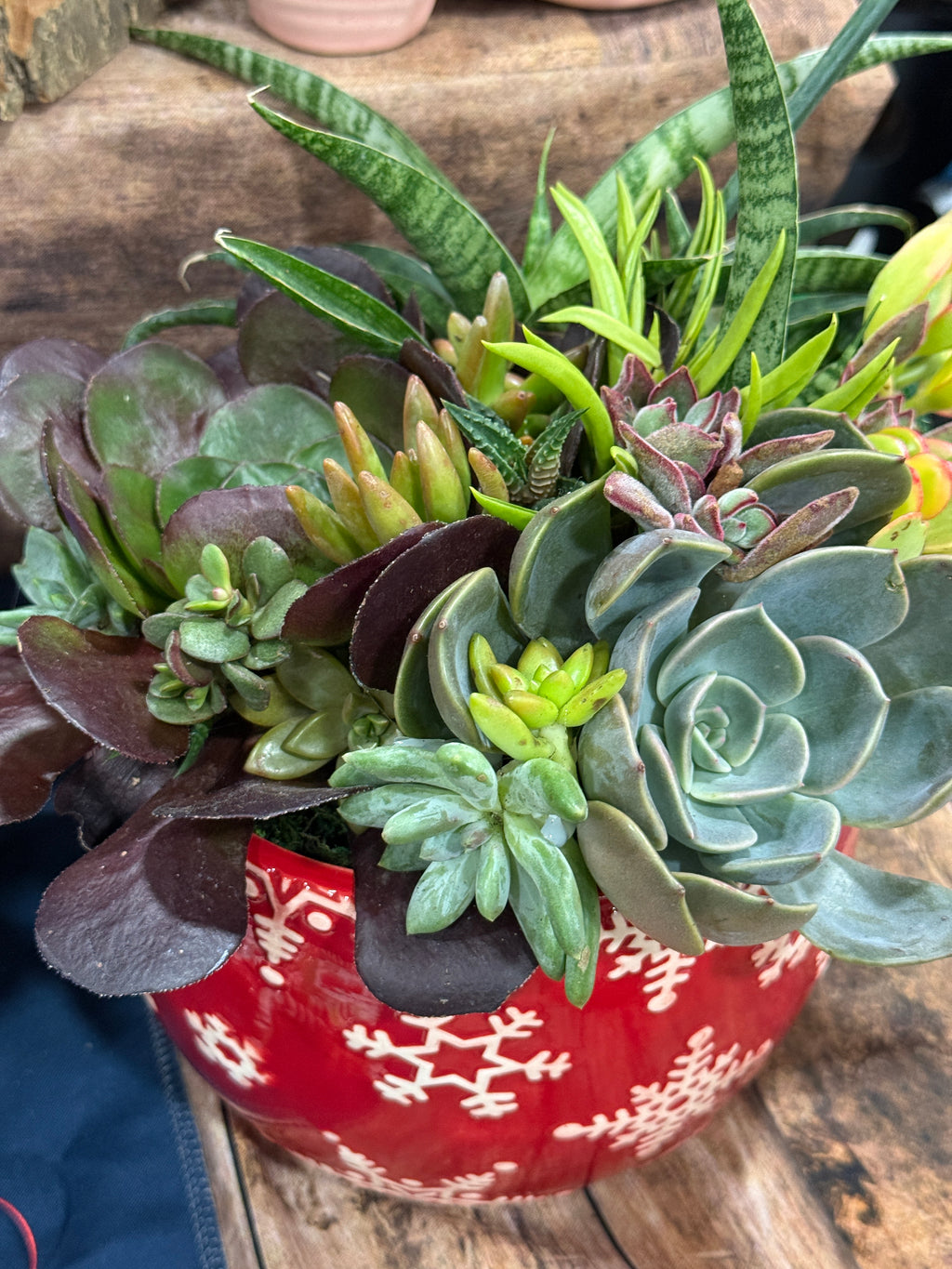 Snowflake Ceramic Succulent Garden 8" Dish Gift