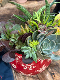Snowflake Ceramic Succulent Garden 8" Dish Gift