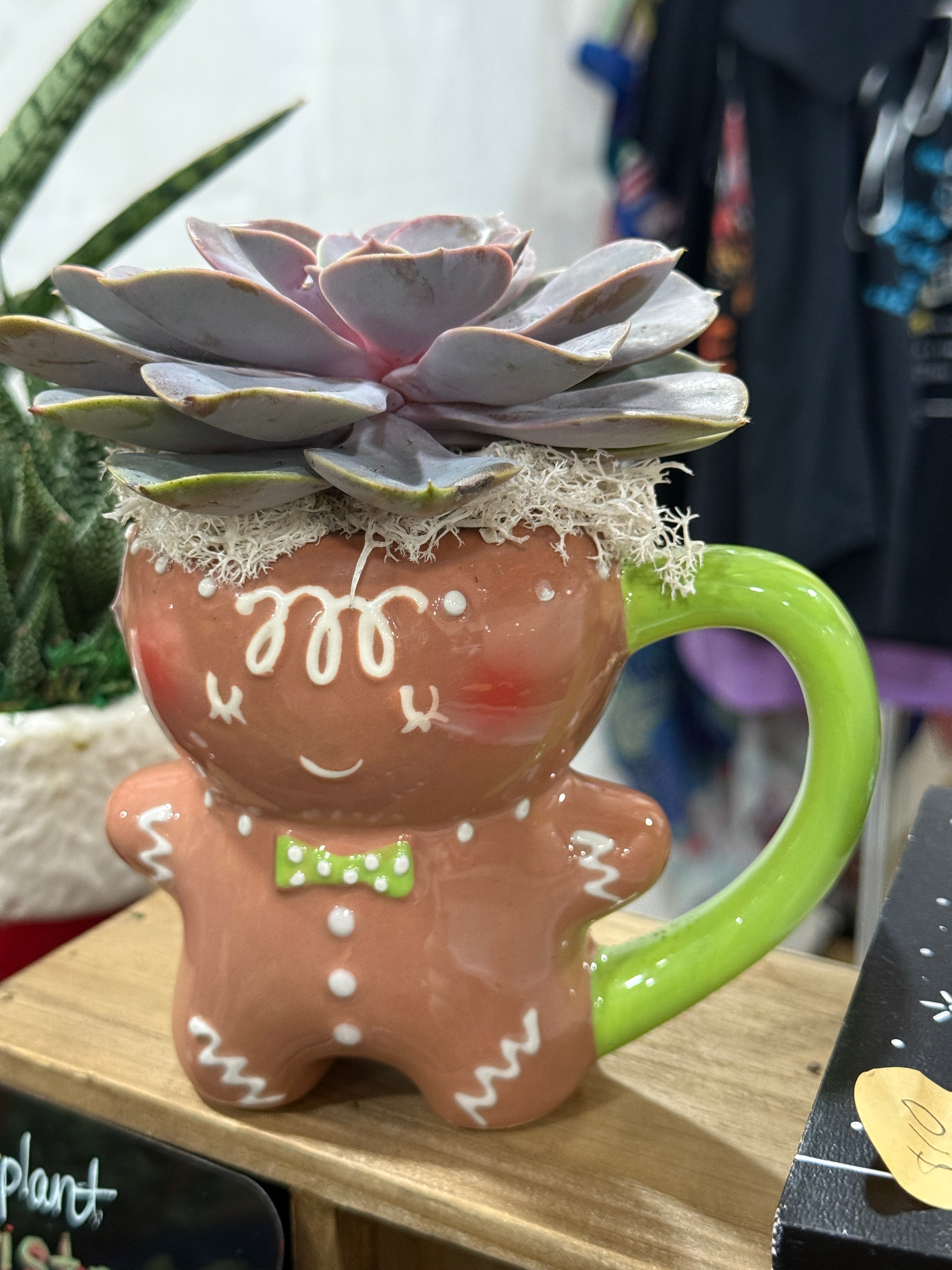 Gingerbread Mug with Purple Von Pearl Echeveria
