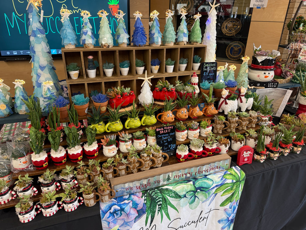 Snowflake Ceramic Succulent Garden 8" Dish Gift