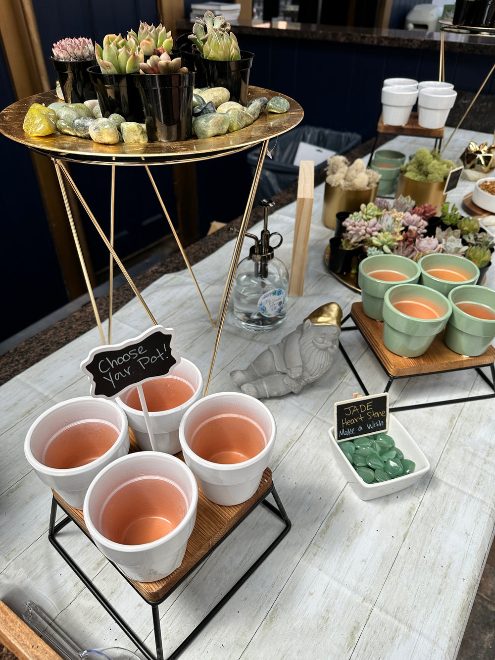 SUCCULENT BARS